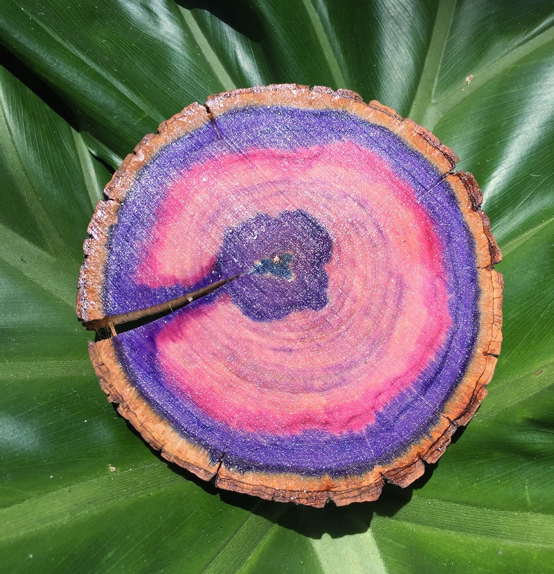 Learn how to make Ultra Violet Faux Agates on a wood slice with Tombow Dual Brush Pens, the Tombow Mister and Tombow MONO Aqua Liquid Glue