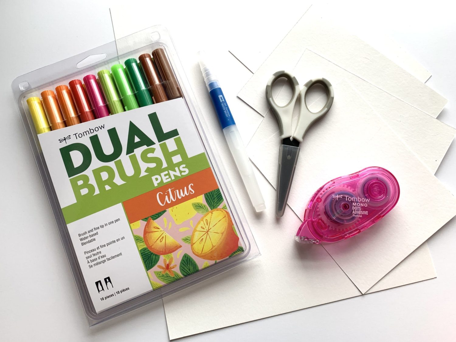 Tombow Dual Brush Pens- Citrus Set of 10