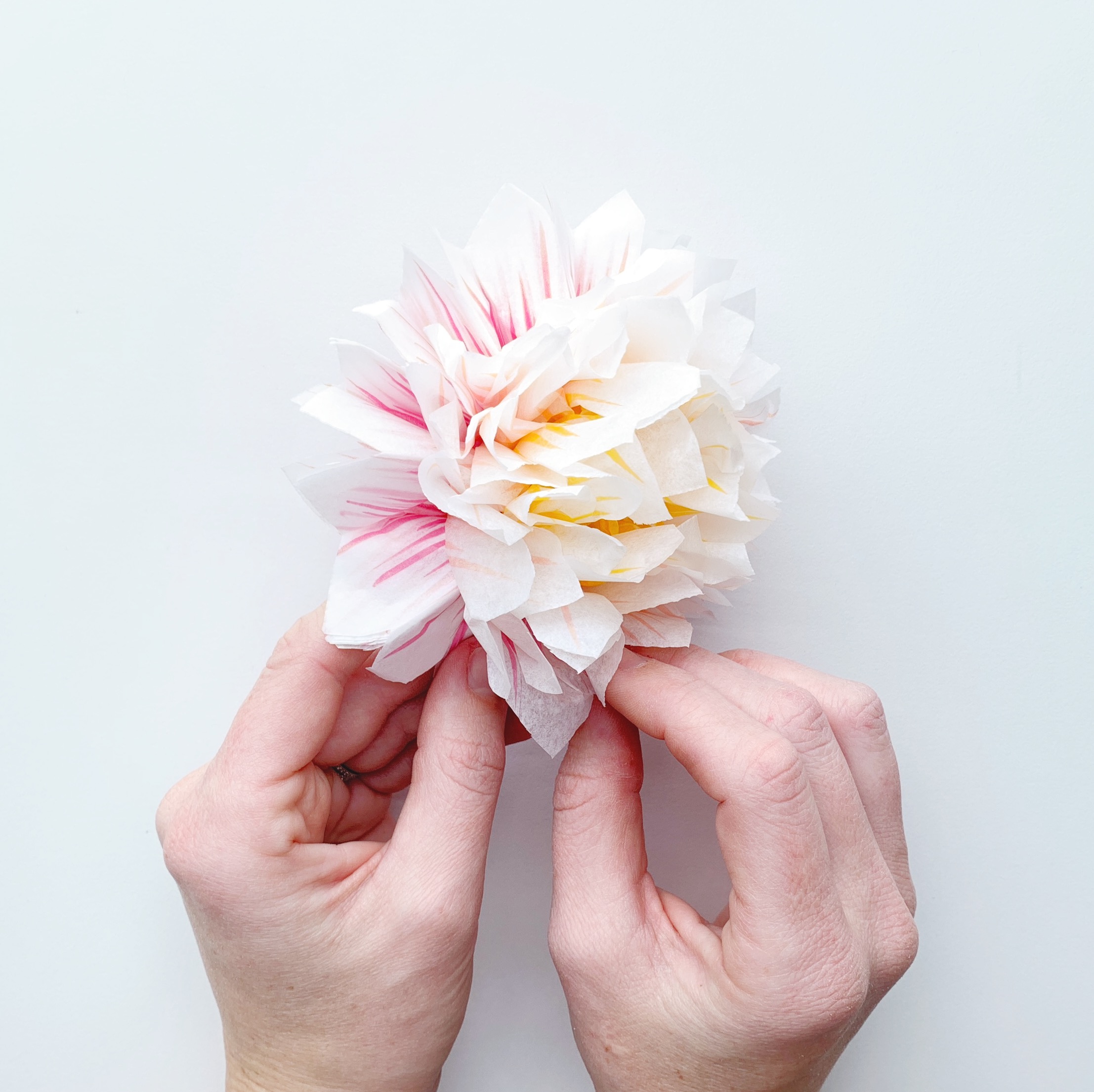 Learn how to make tissue paper dahlia flowers using @tombowusa Dual Brush Pens with Adrienne from @studio80design