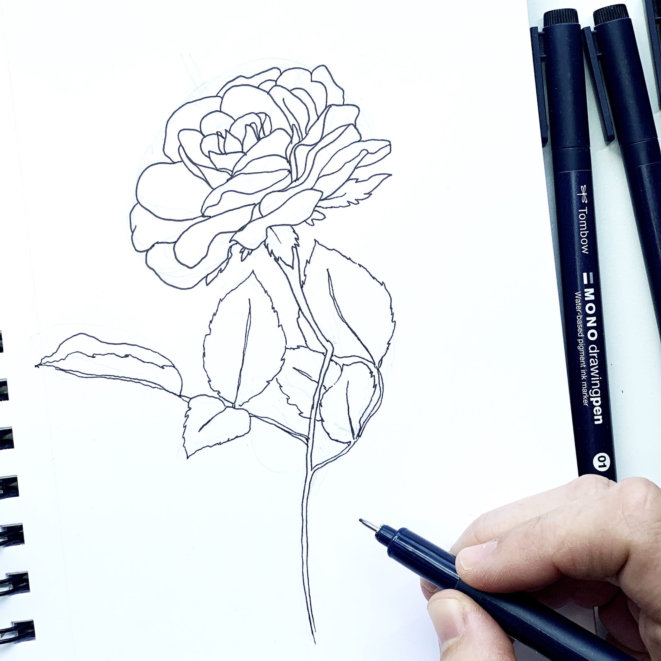 Floral Illustration Tips, Tricks and Tutorial - Tombow USA Blog