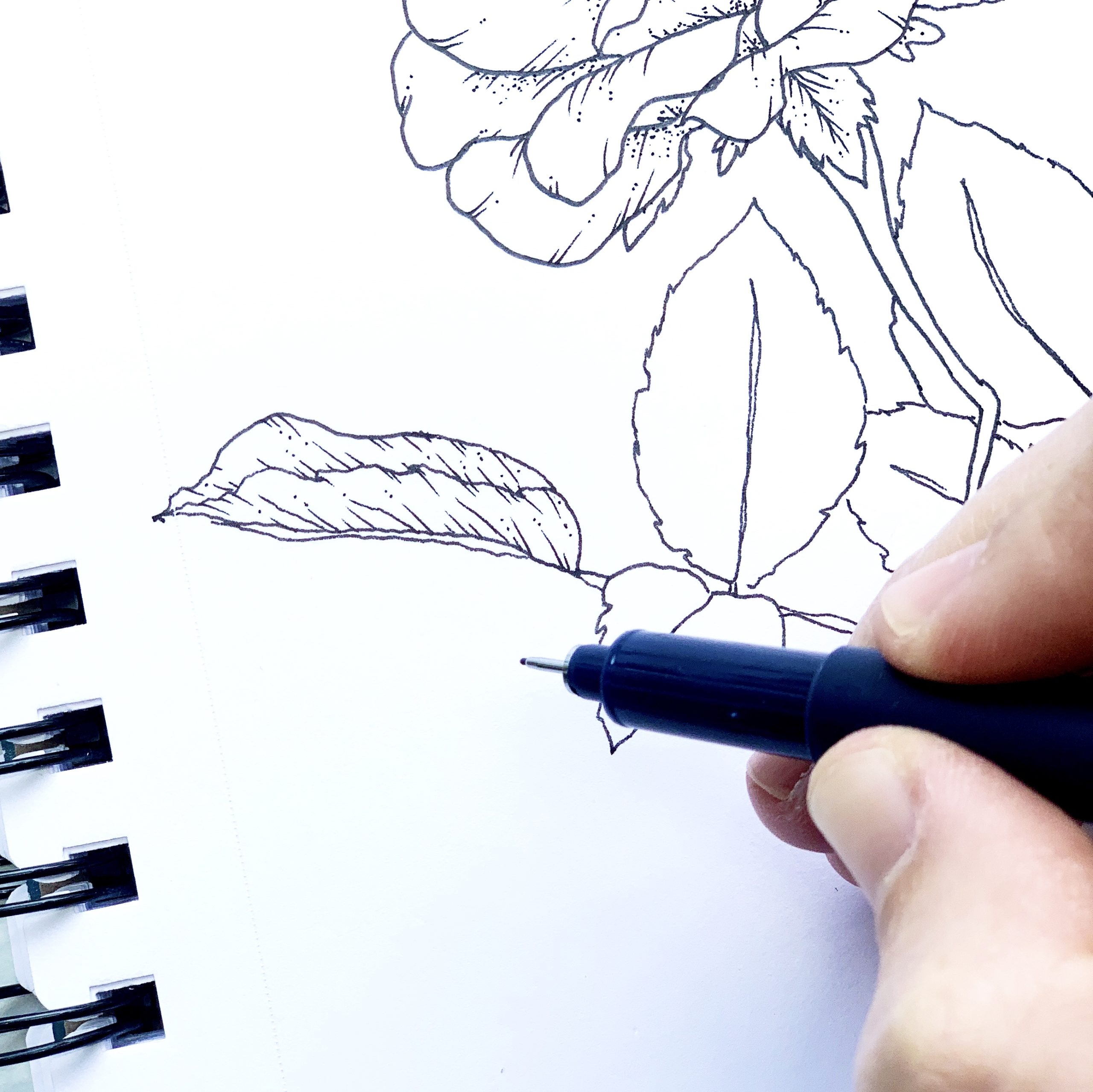 Pencil Shading Tips for Easily Sketching Flowers - Tombow USA Blog