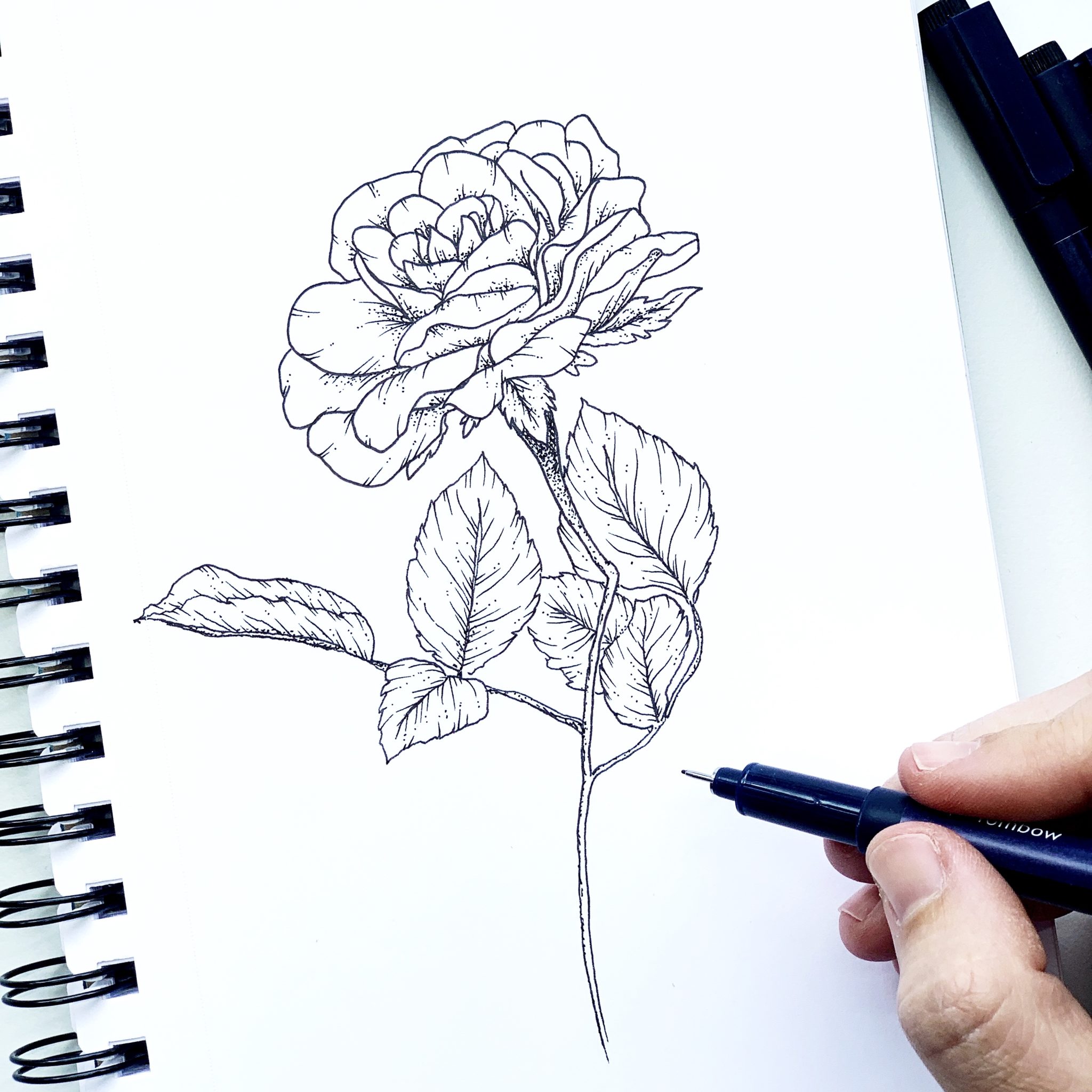 Pencil Shading Tips for Easily Sketching Flowers - Tombow USA Blog