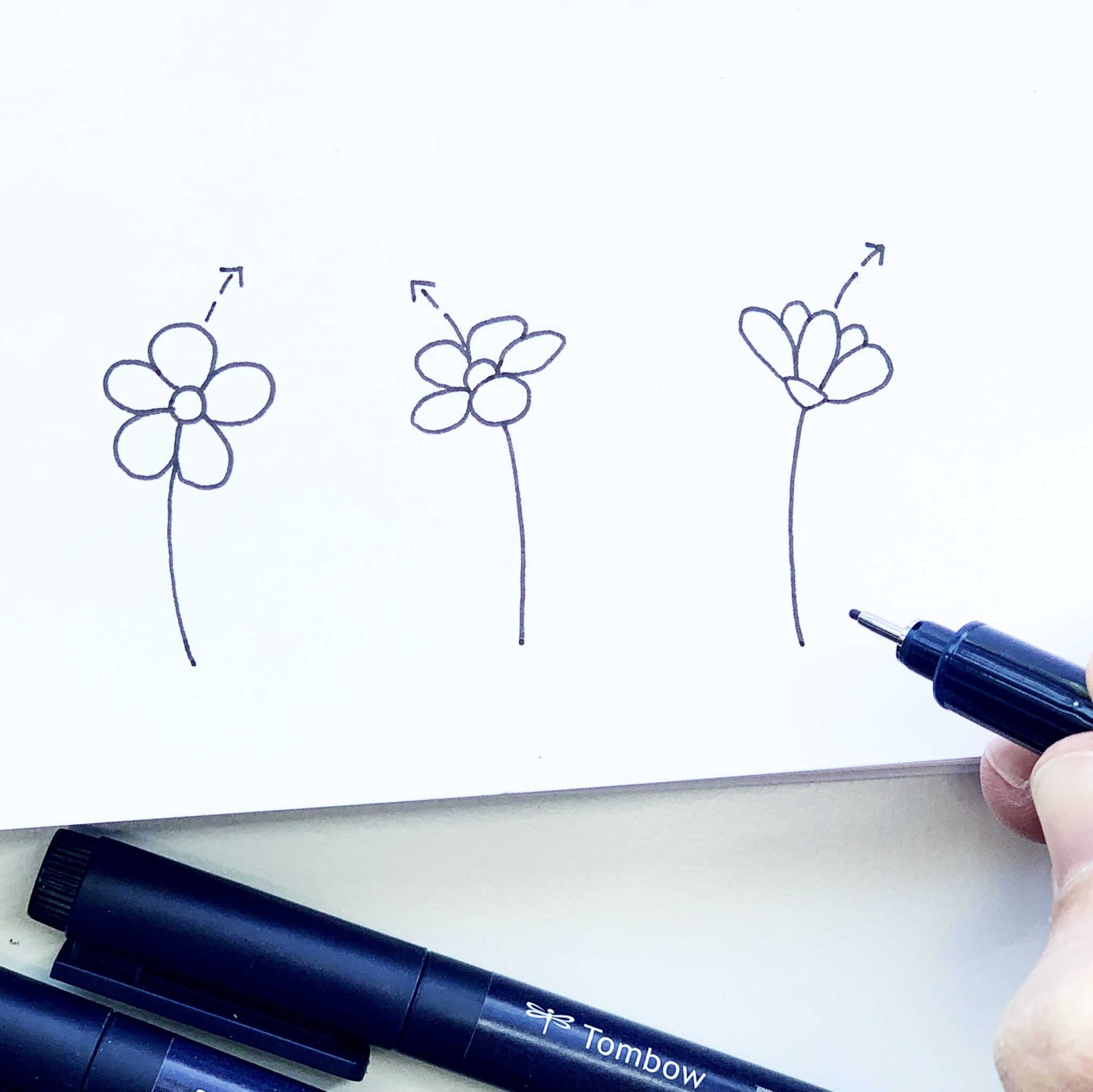 Pencil Shading Tips for Easily Sketching Flowers - Tombow USA Blog