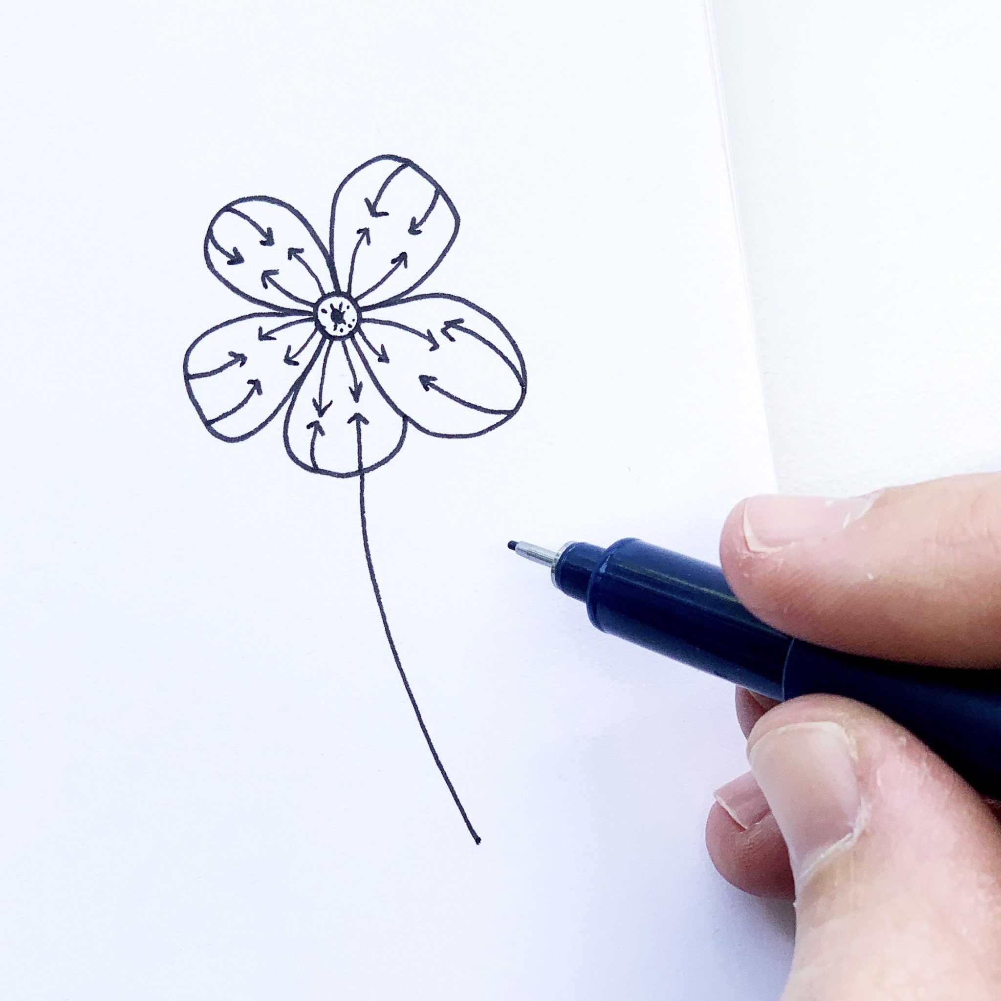 Pencil Shading Tips for Easily Sketching Flowers - Tombow USA Blog