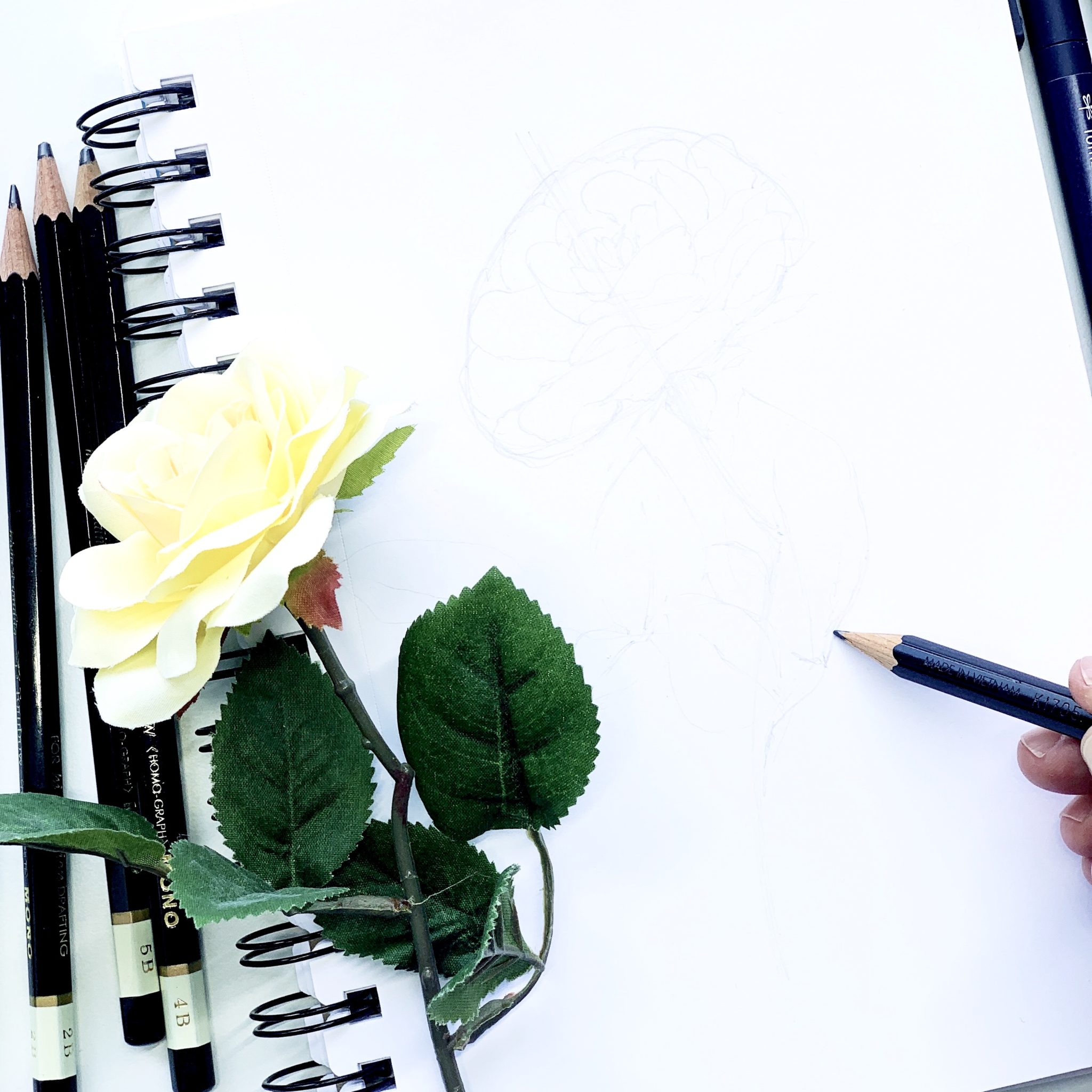 Pencil Shading Tips for Easily Sketching Flowers - Tombow USA Blog