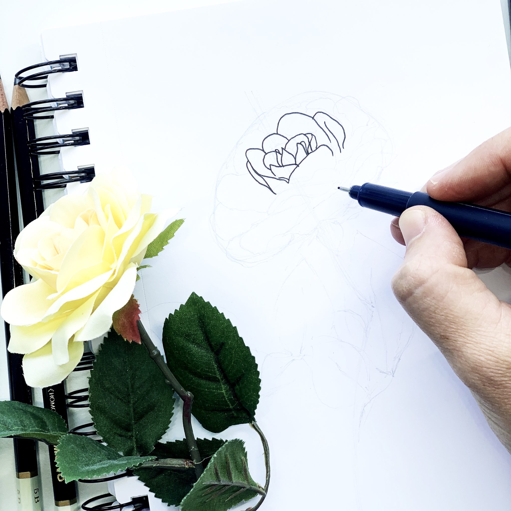 Tips for Drawing Simple Flowers Using MONO Drawing Pens - Tombow USA Blog