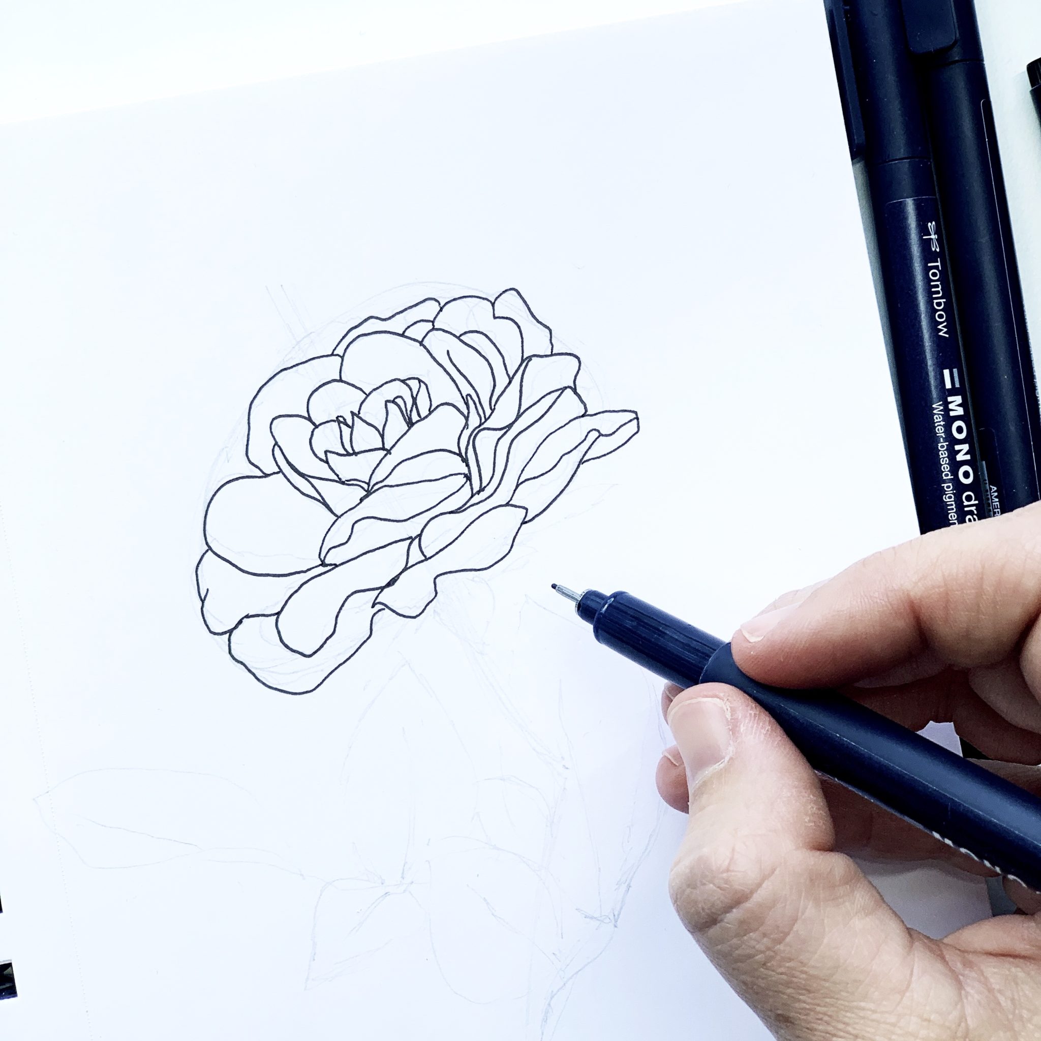 Tips for Drawing Simple Flowers Using MONO Drawing Pens - Tombow USA Blog