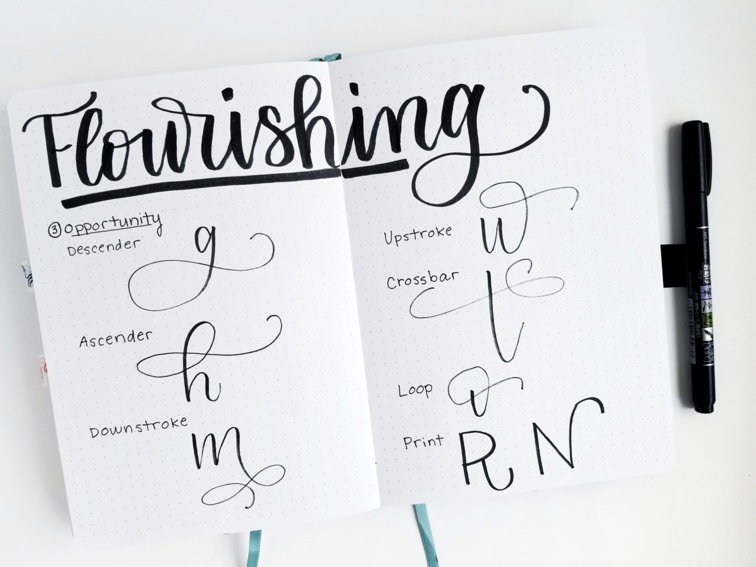 Flourishing Words & Paragraphs: 6 Easy Tips For Calligraphy Beginners -  Curious Medium Calligraphy