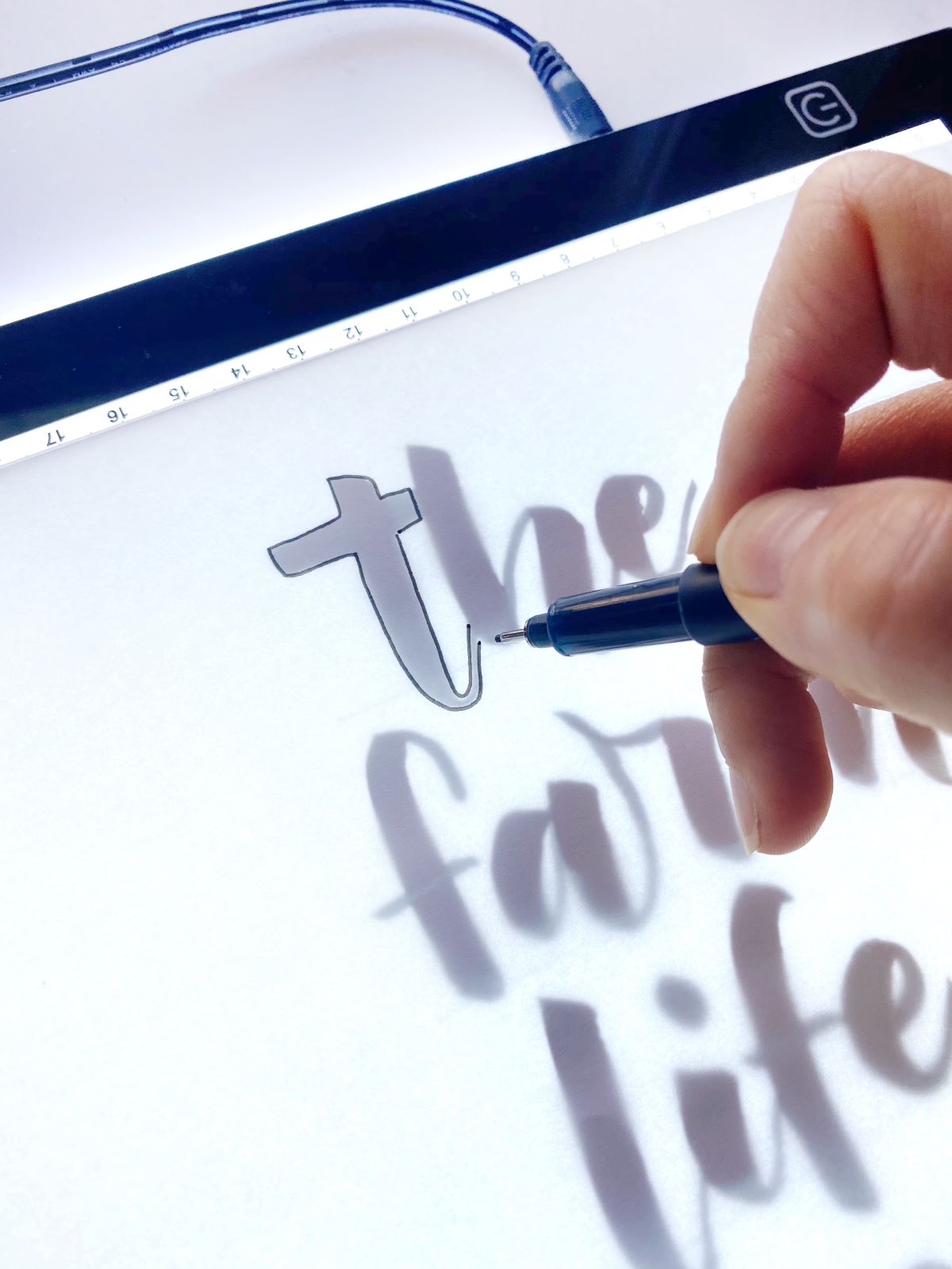 Create Cow Print Lettering - Mandy Faucher