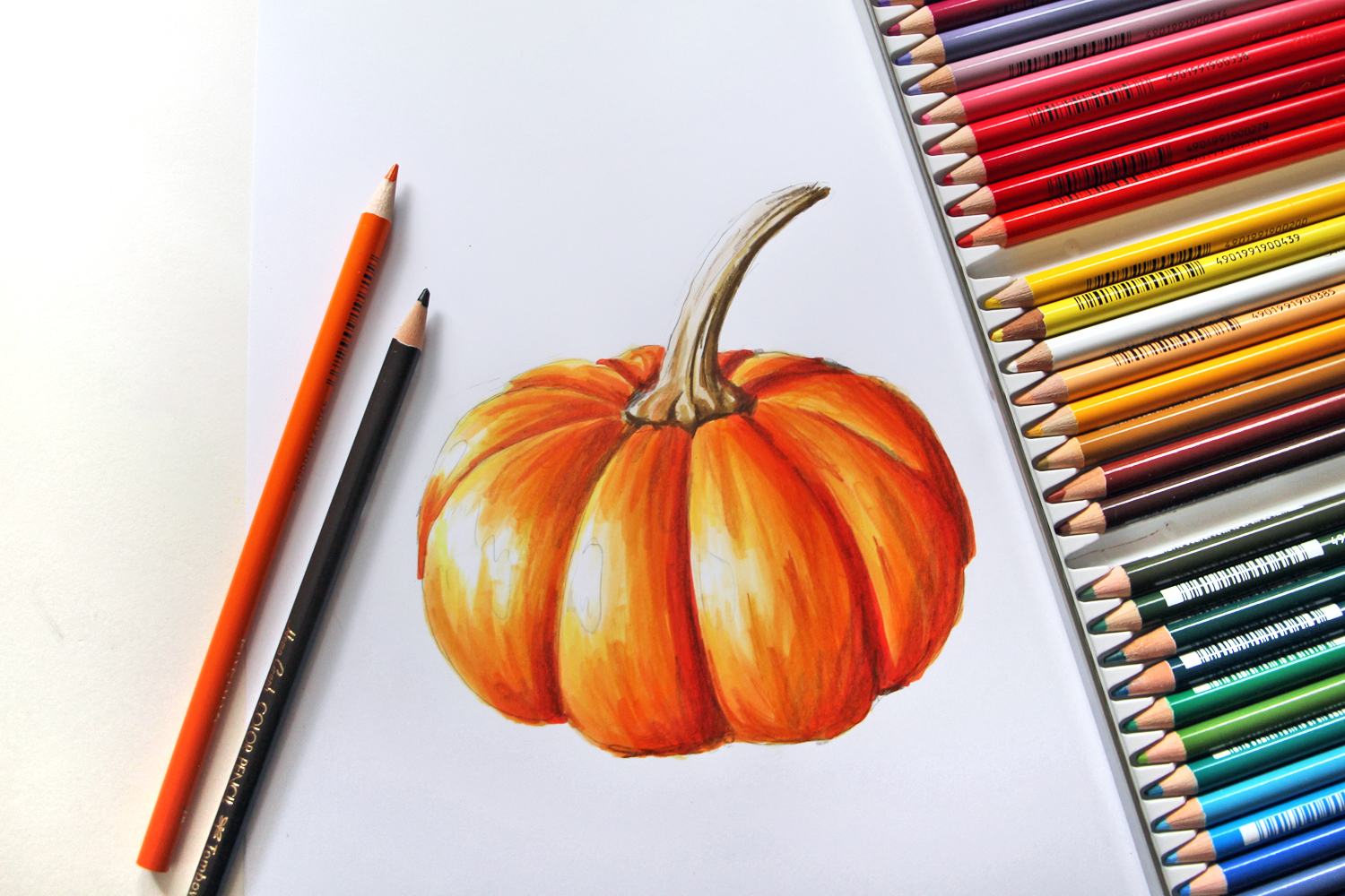 How to Draw a Realistic Pumpkin Tombow USA Blog