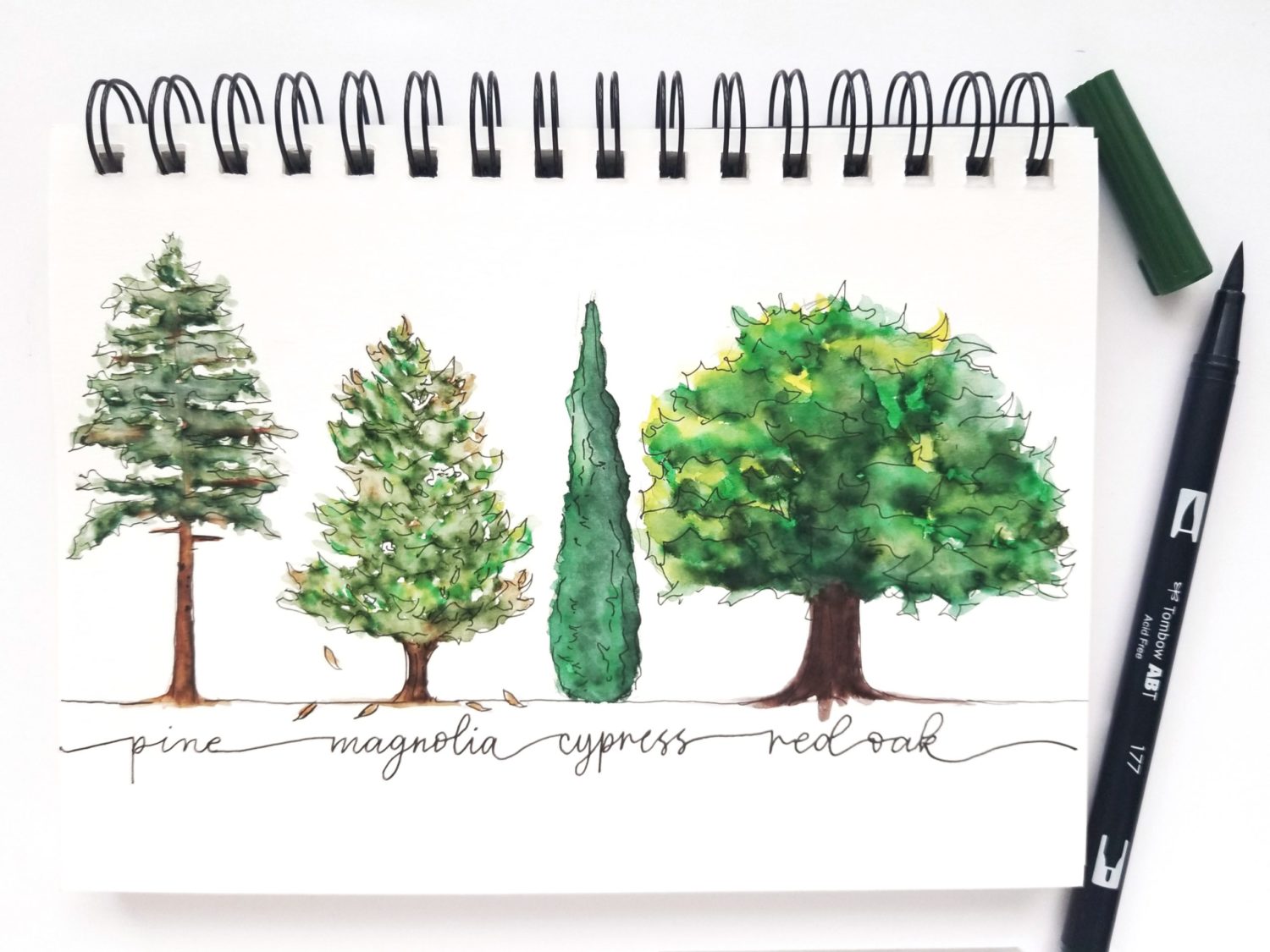 simple watercolor tree