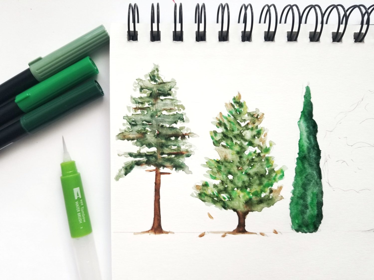 Easy Watercolor Trees in Five Steps - Grace Myhre
