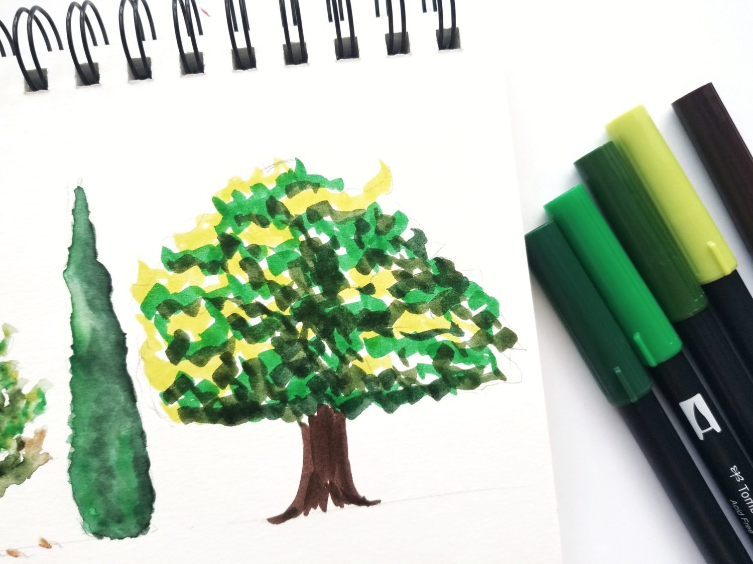 How to Draw Trees with Markers