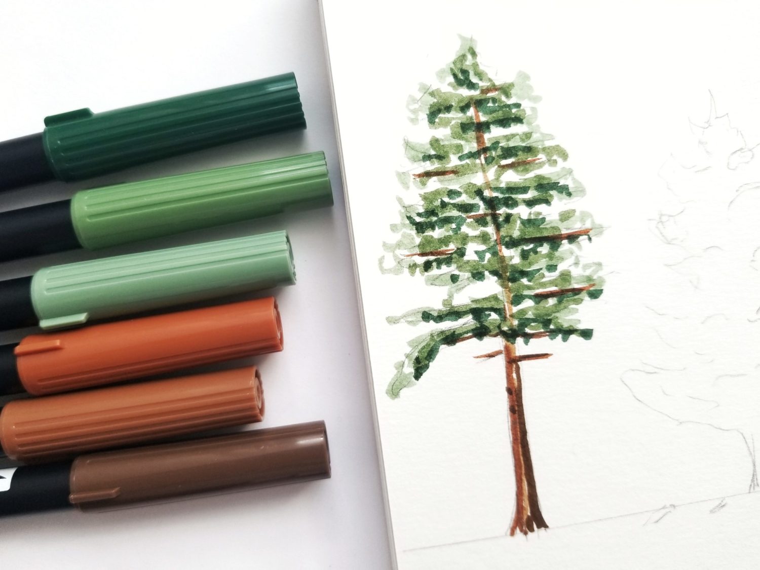 How to draw rainbow tree with brush pen