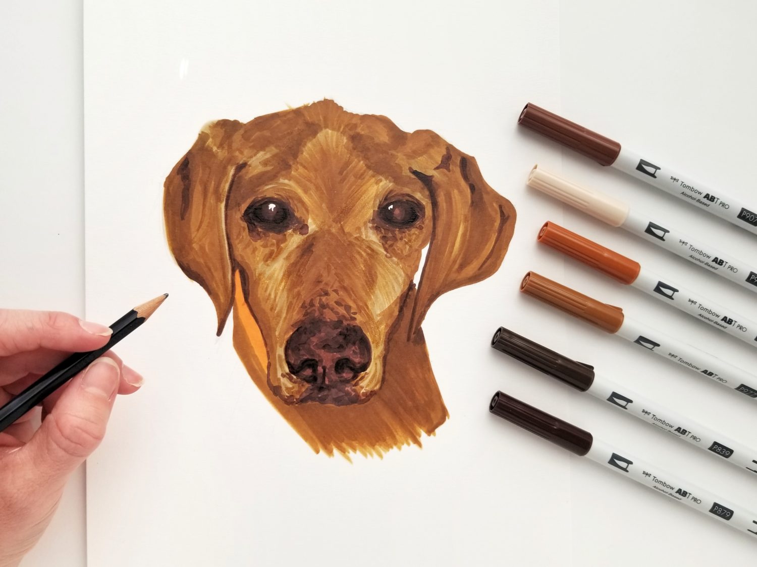 All About Tombow's ABT PRO Alcohol-Based Marker - The Art Dog Blog