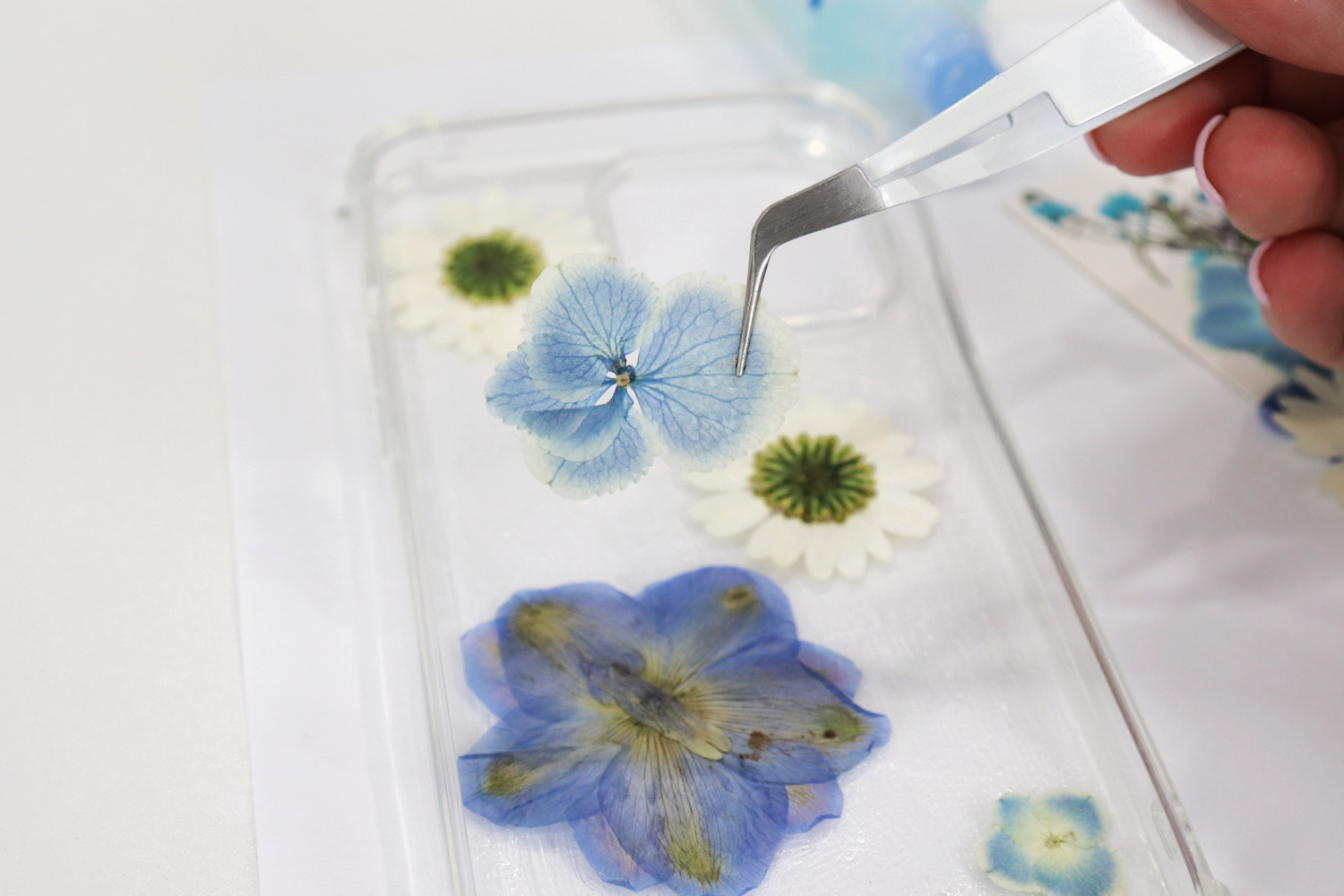 Image contains Amy’s hand holding a pair of white-handled tweezers that have a blue pressed flower in the tip. Below the flower is a clear phone case with a variety of white and blue flowers placed face down on top.