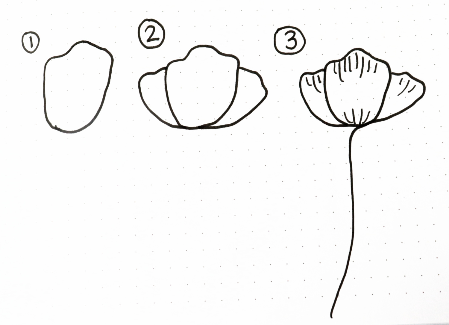 Image is a diagram of the three steps to drawing a large-petaled flower as explained in the written tutorial.