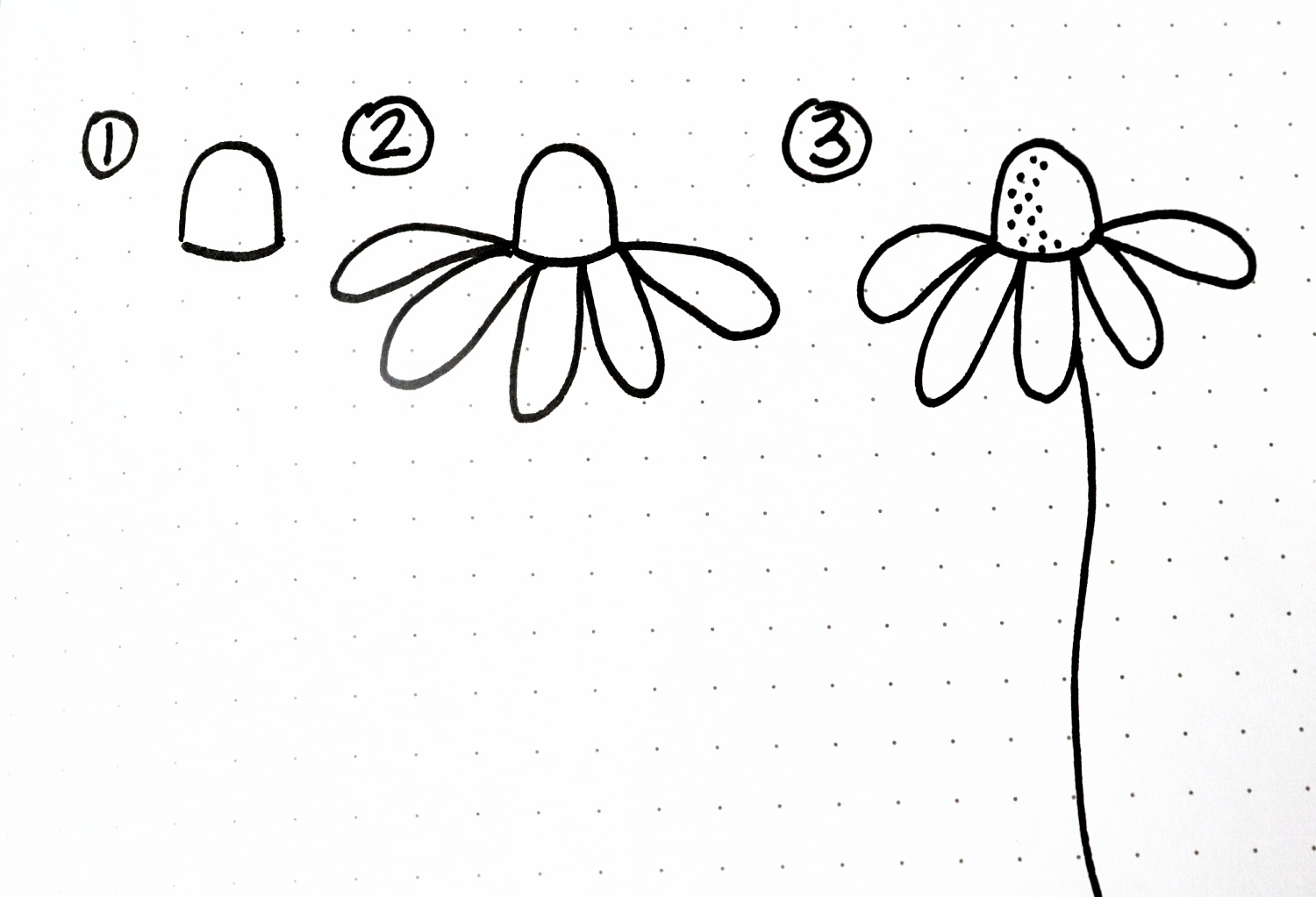 Image is a step-by-step diagram for how to draw a daisy in three steps, as explained in the written instructions.