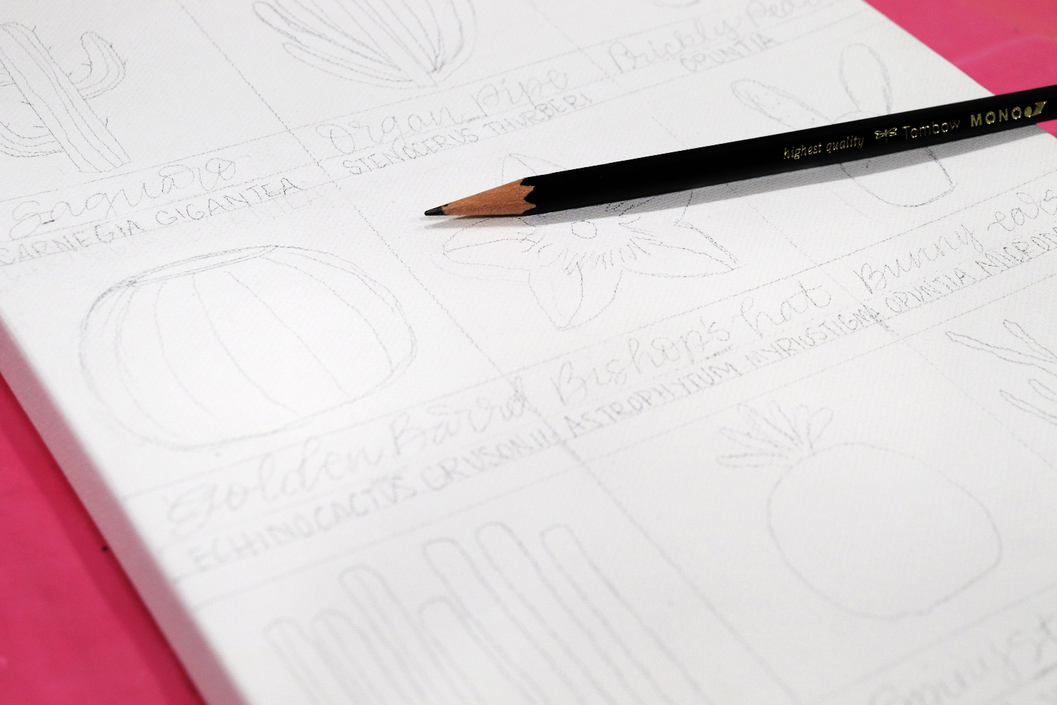 Image contains a close-up view of the white canvas with cactus sketches and names in pencil.