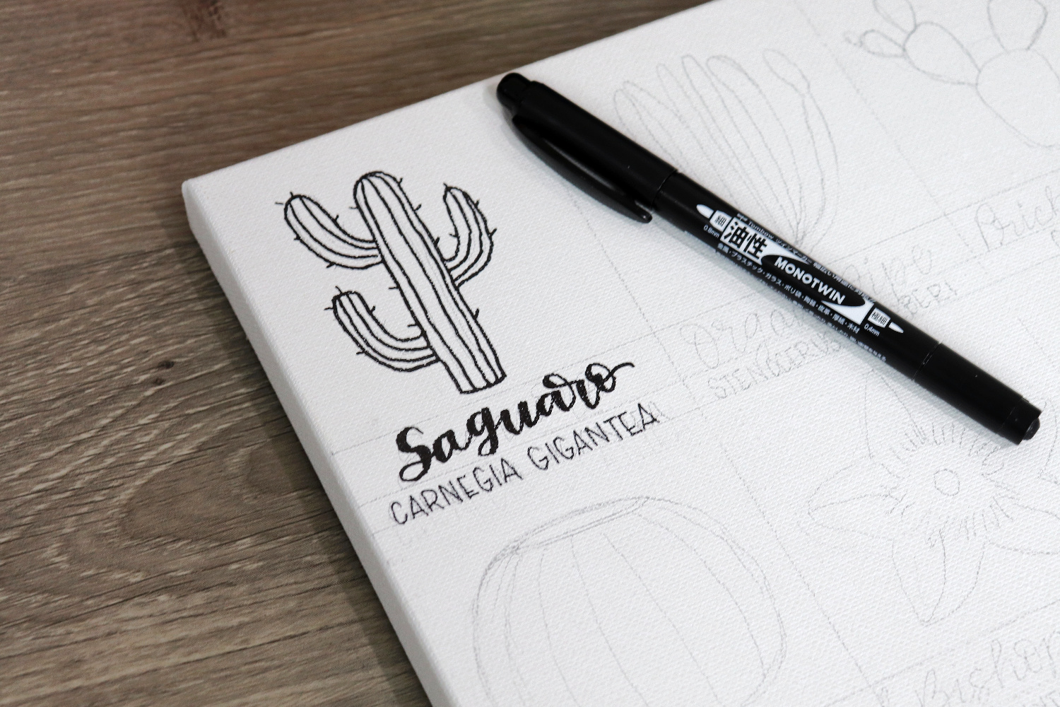 Image contains a close-up of the upper left corner of the canvas, where a Saguaro cactus is doodled and labeled in black MONO Twin marker. The marker sits on top of the canvas.