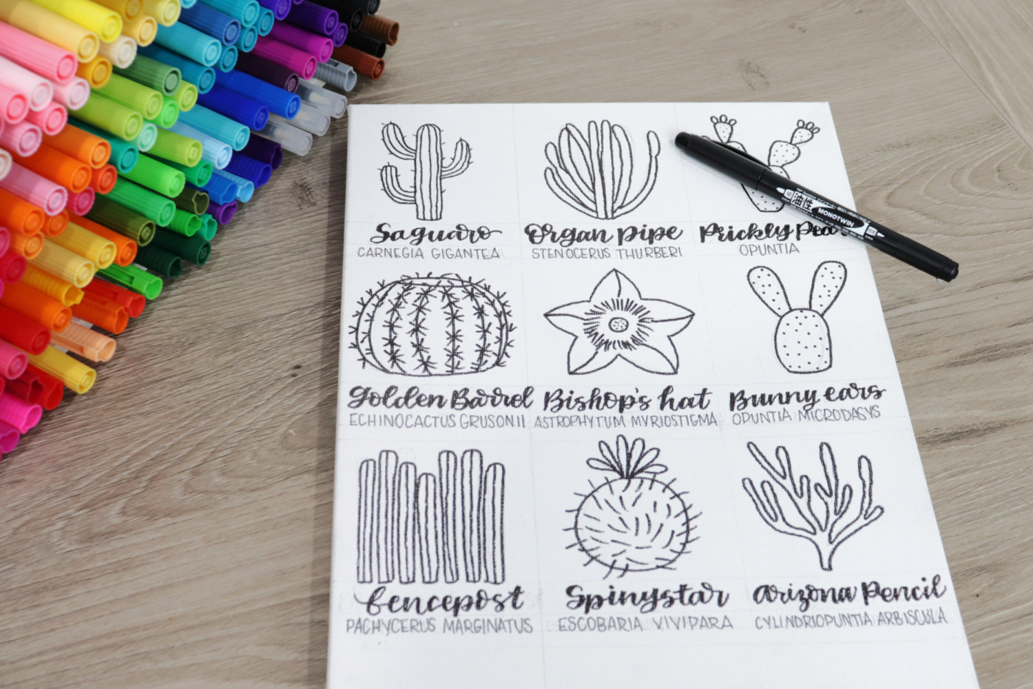 Image contains a white canvas with nine cactus doodles and names in black marker. A MONO Twin marker sits on top of the canvas, which is on a wooden desk. Multicolored markers in an organizer sit nearby on the left of the canvas.