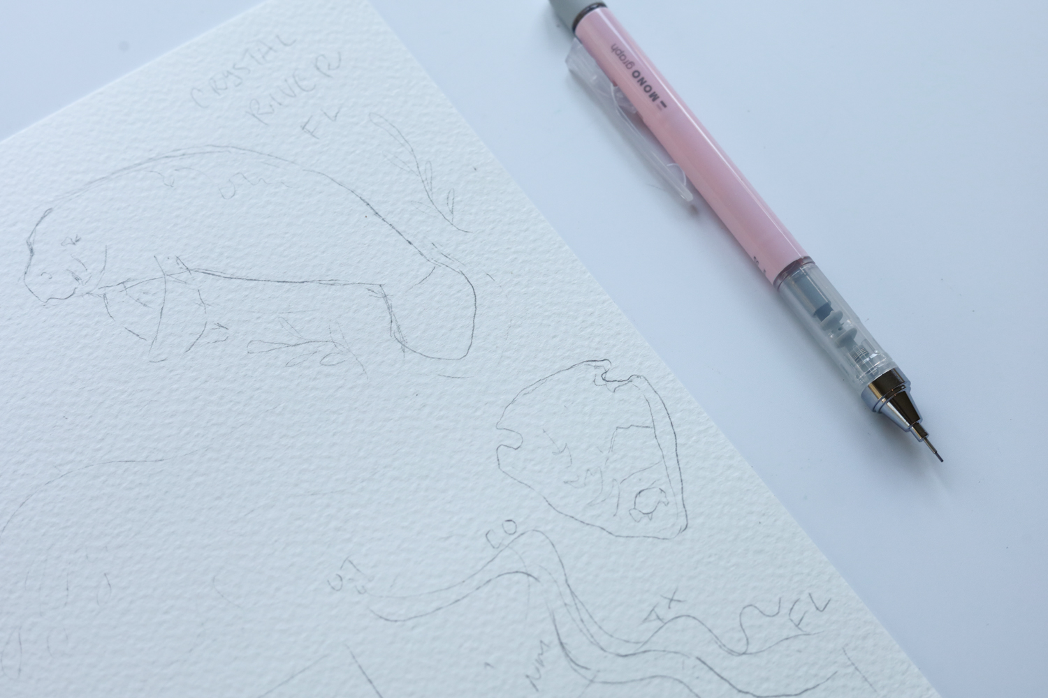 Use Tombow's MONO Graph Mechanical Pencil to sketch a manatee