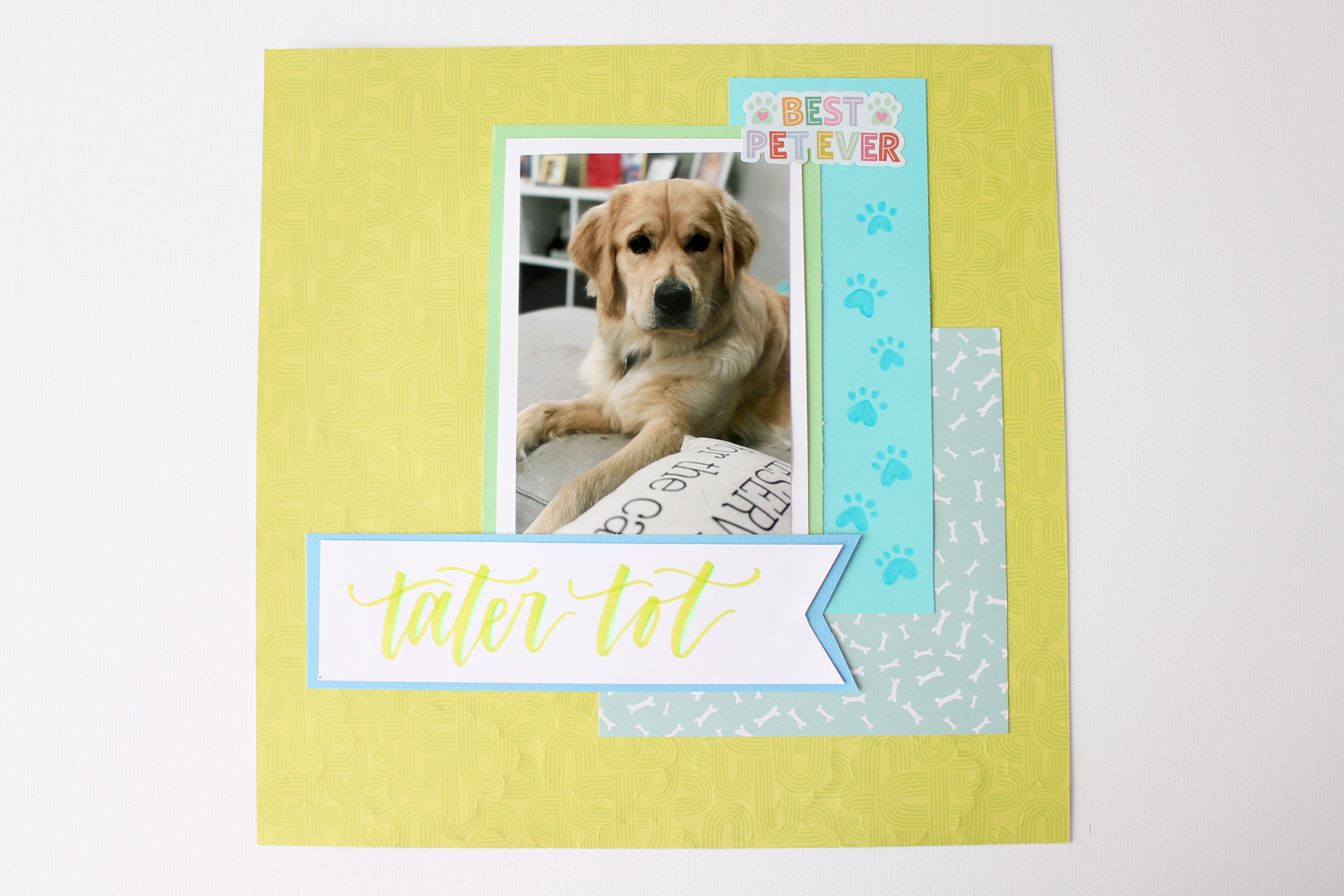 scrapbook page of dog
