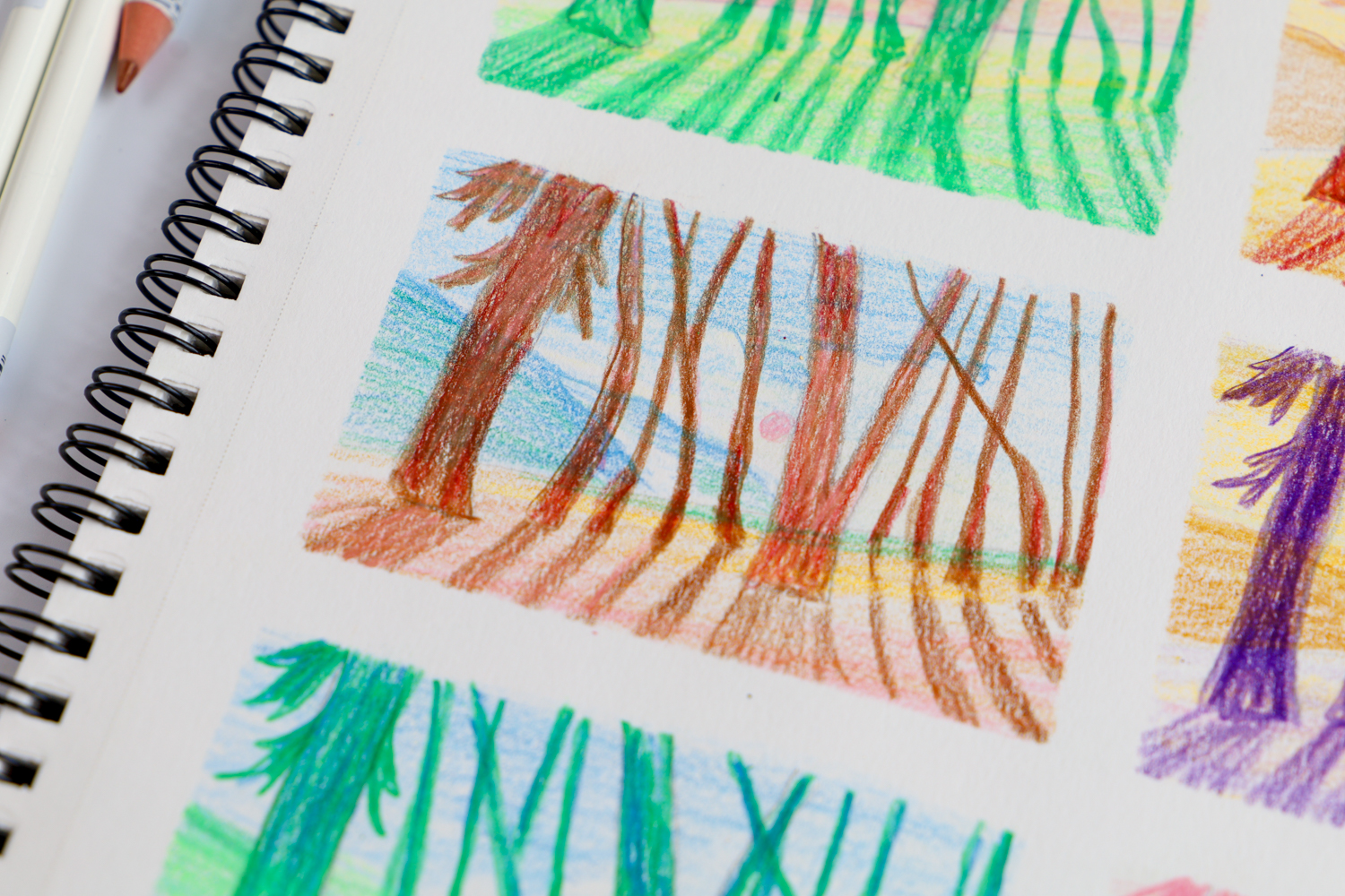 Color study of a forest sketch using warm and cool colors and @tombowusa Irojiten Colored Pencils