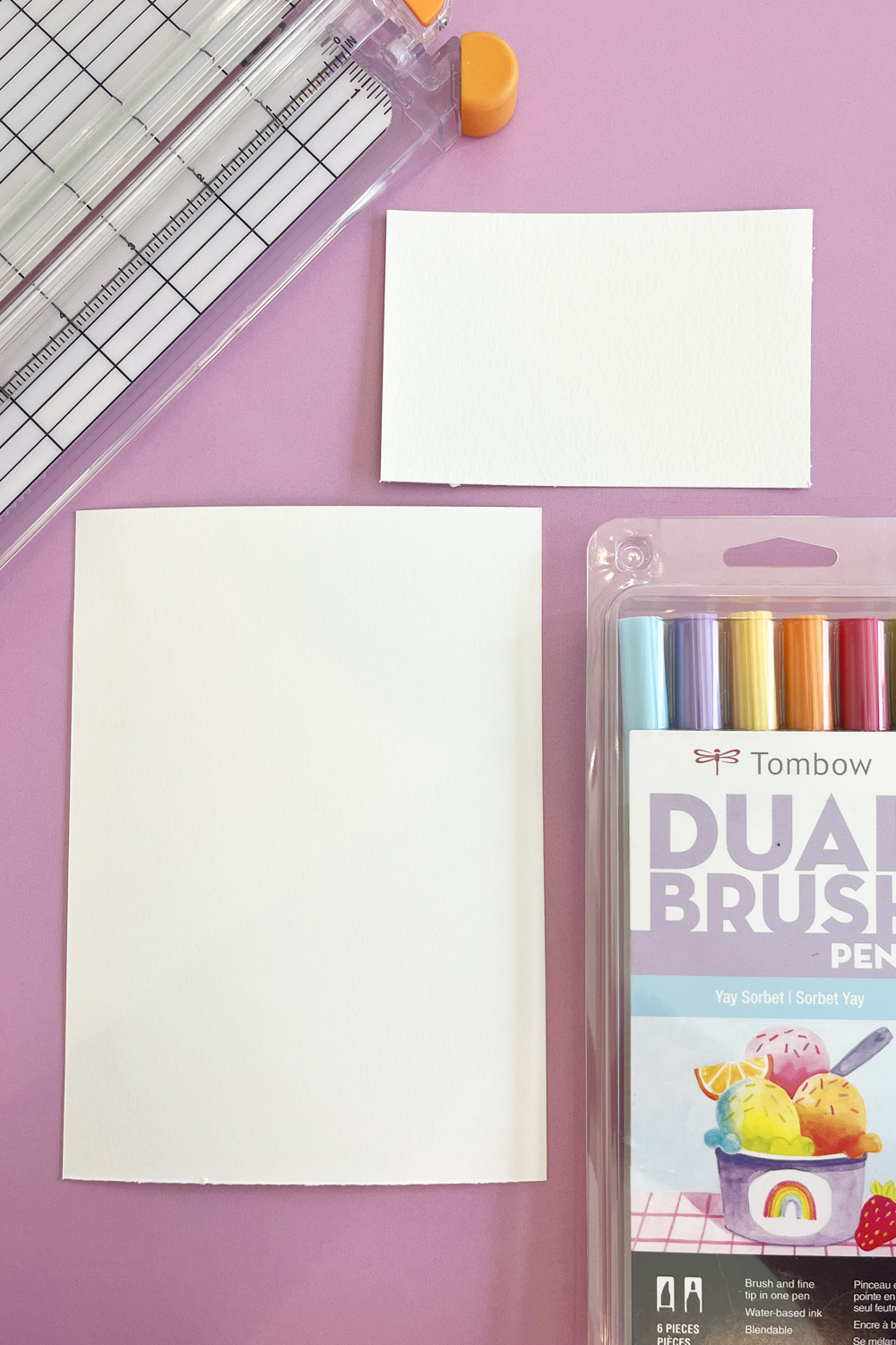 Sorbet Dual Brush Pens Tombow