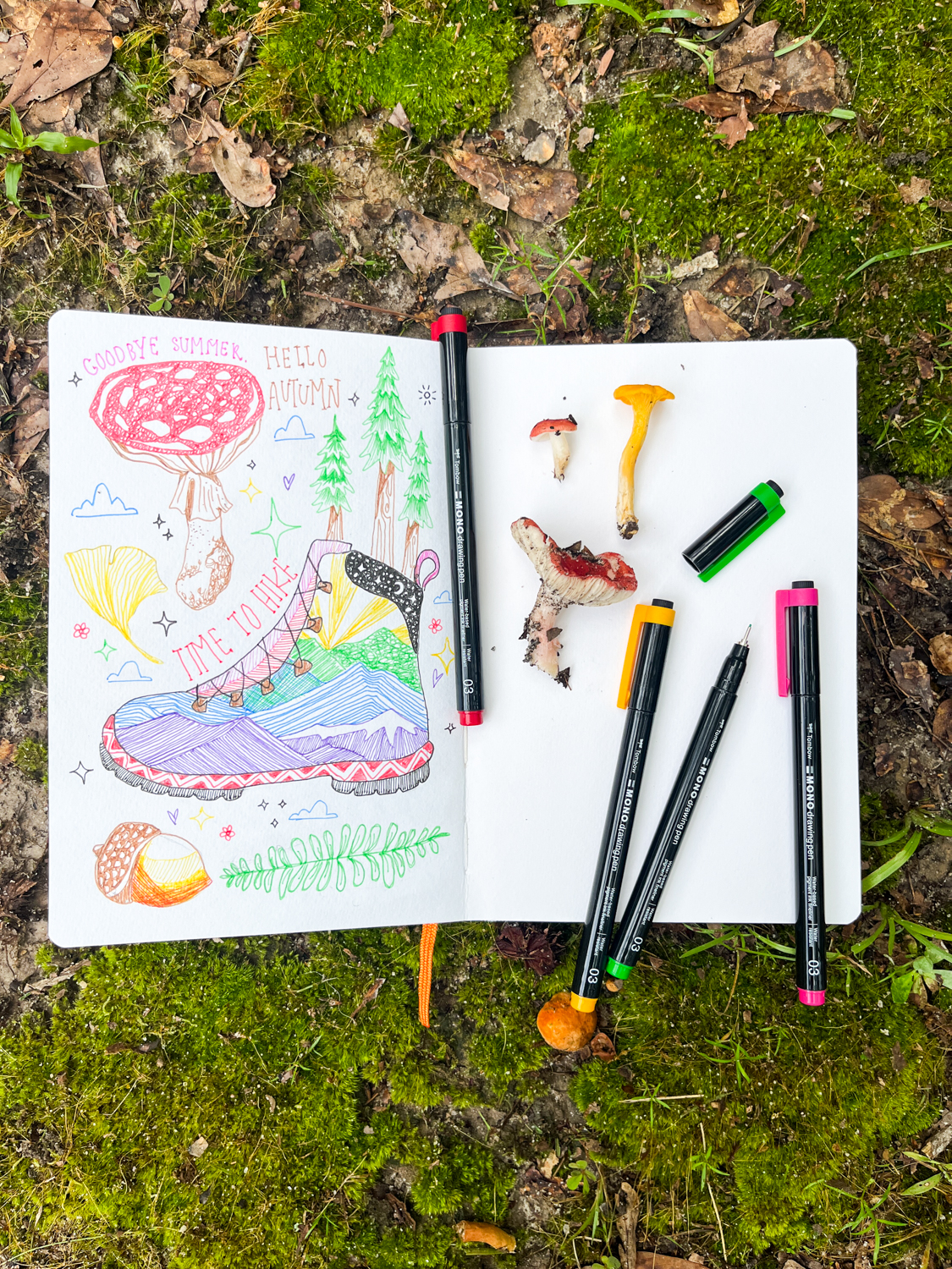 Let's talk about Nature Sketching! Learn how to use @tombowusa new MONO Drawing Pen Colors for capturing nature!