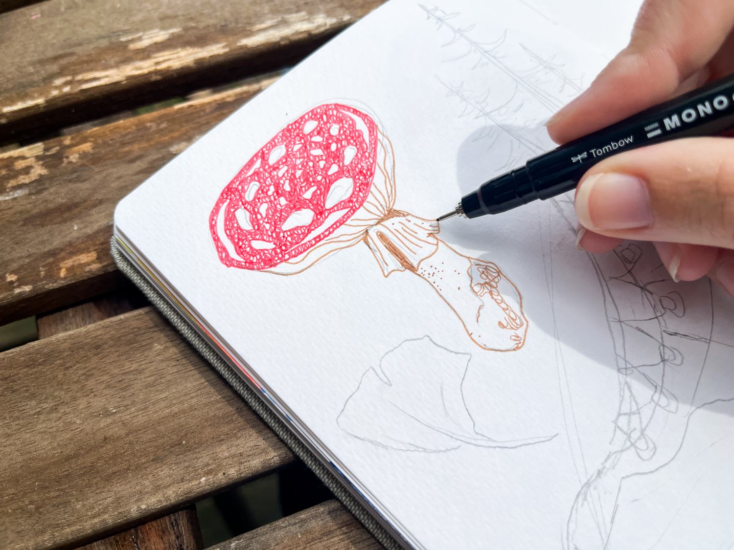 Let's talk about Nature Sketching! Learn how to use Tombow’s new MONO Drawing Pen Colors for capturing nature!
