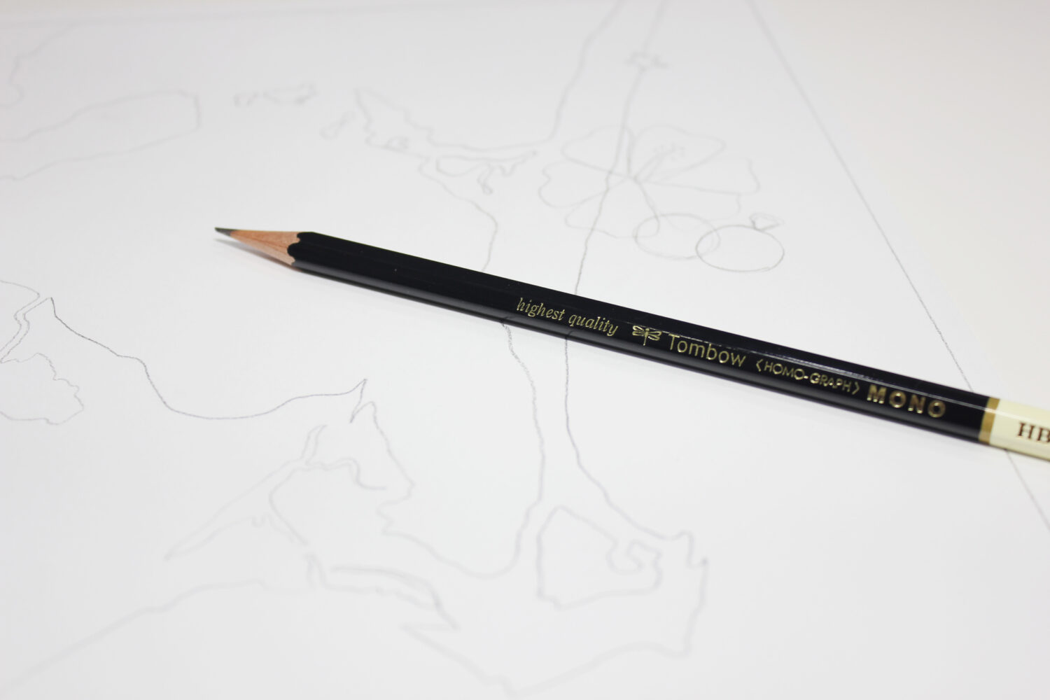 Map outline with MONO tombow pencil