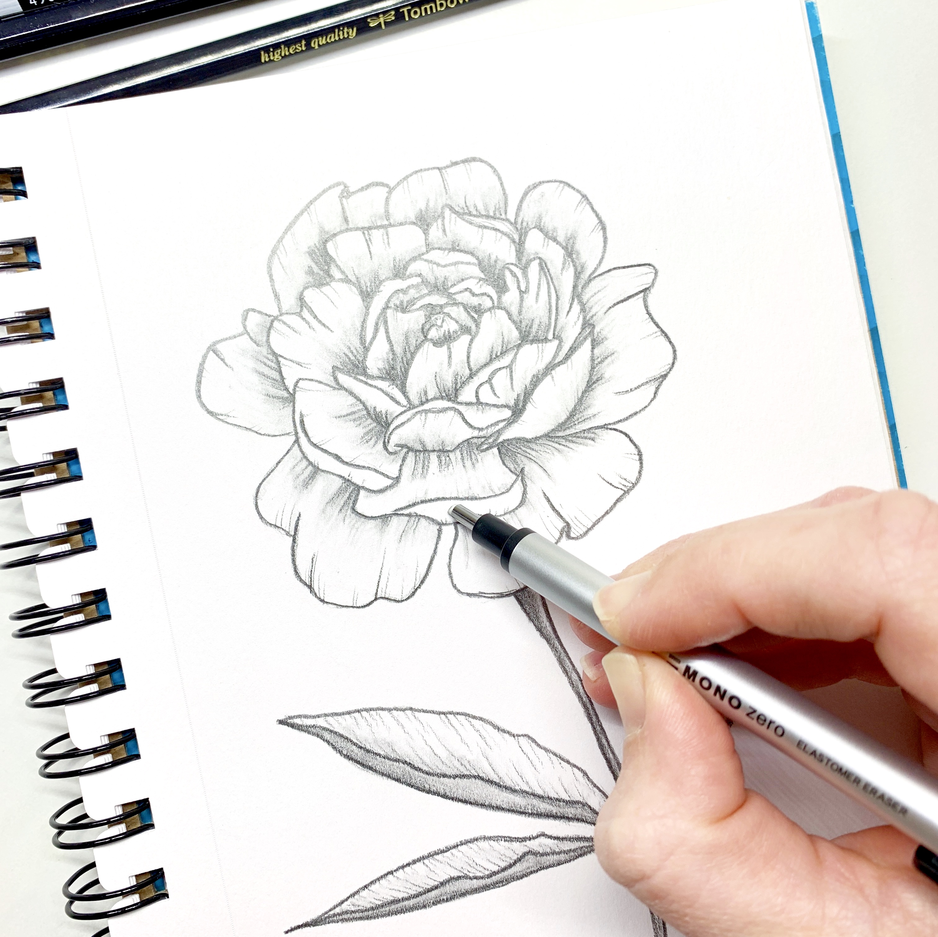 How to Draw a Peony With The MONO Drawing Pencil Set Tombow USA Blog