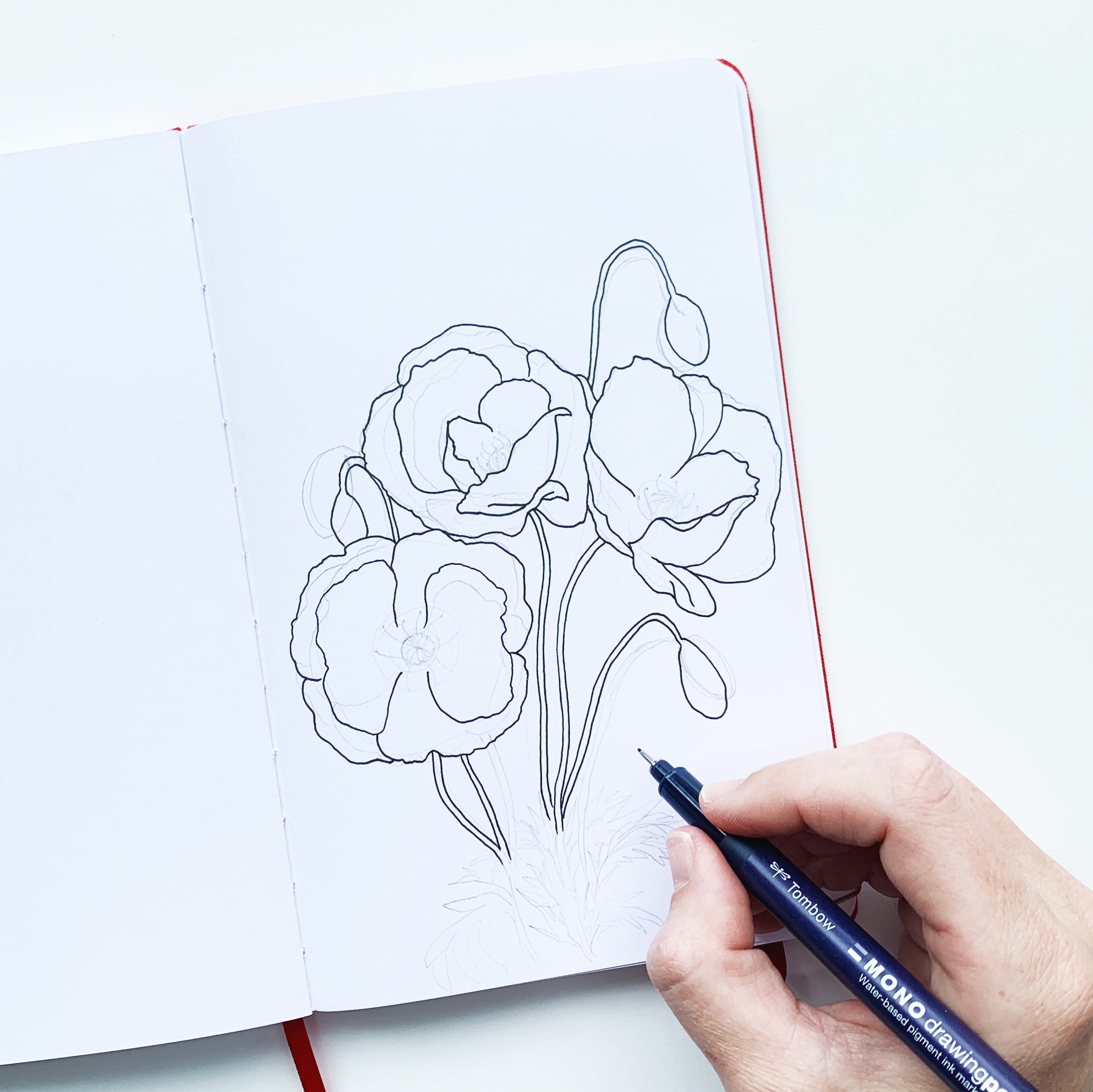 how to draw a poppy flower step by step