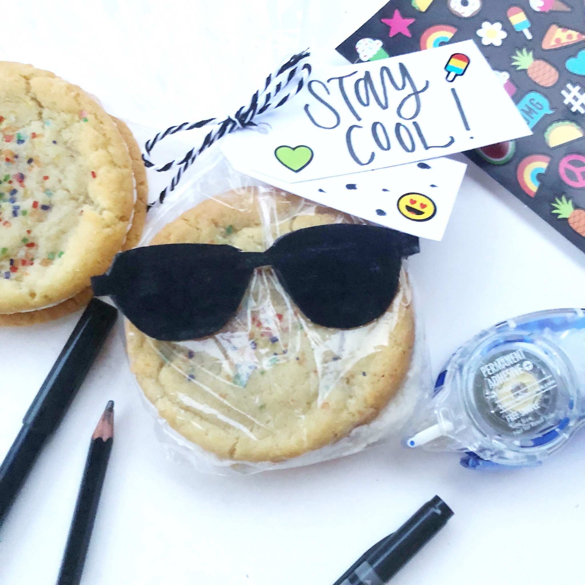 Lauren Fitzmaurice of Renmade Calligraphy show you how to create a fun emoji inspired favor bag that is perfect for my summer time event! The tutorial uses awesome lettering and craft tools from Tombowusa.com.