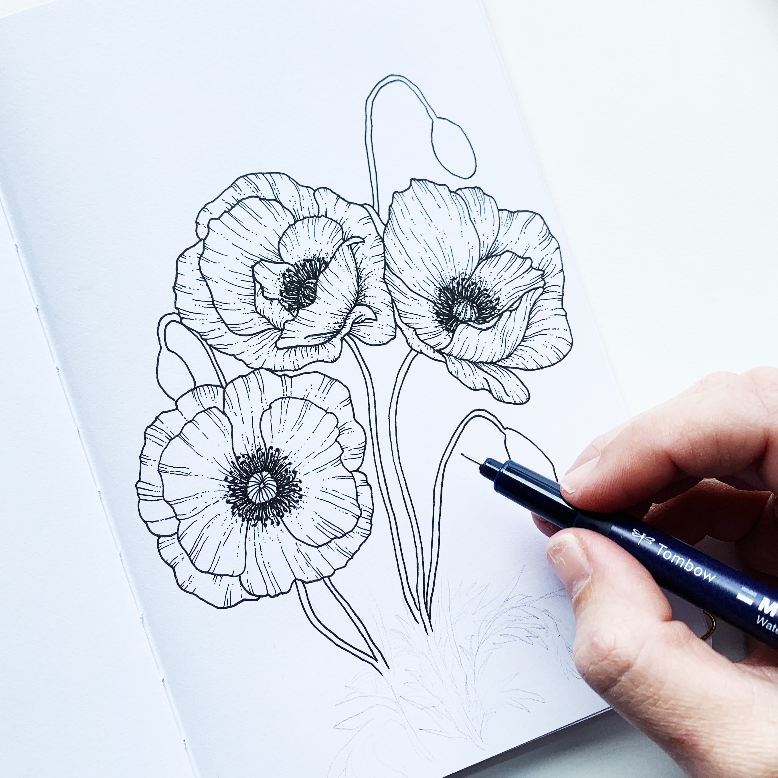 how to draw a poppy flower step by step