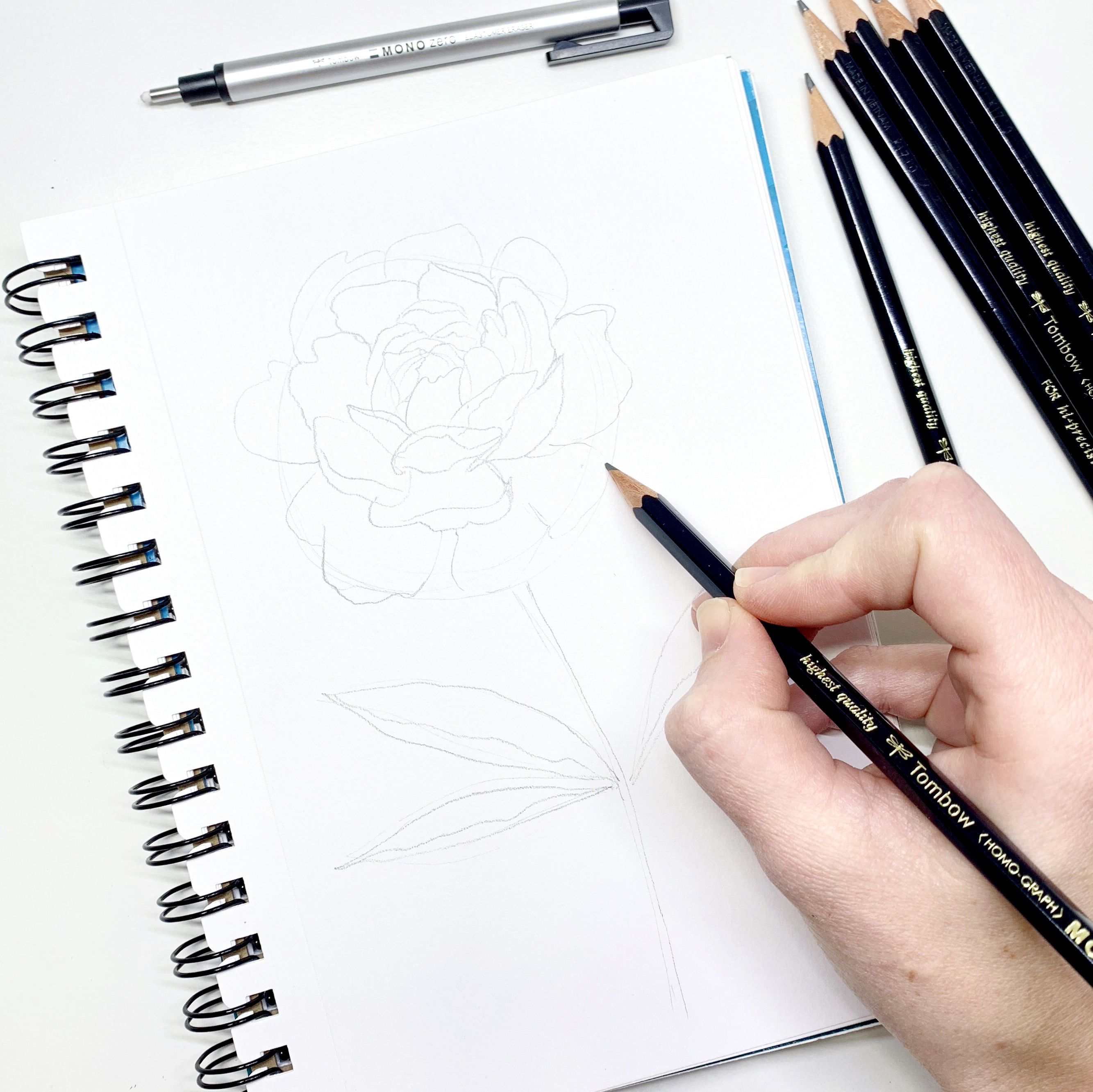 Learn how to draw a peony flower with MONO Drawing Pencils