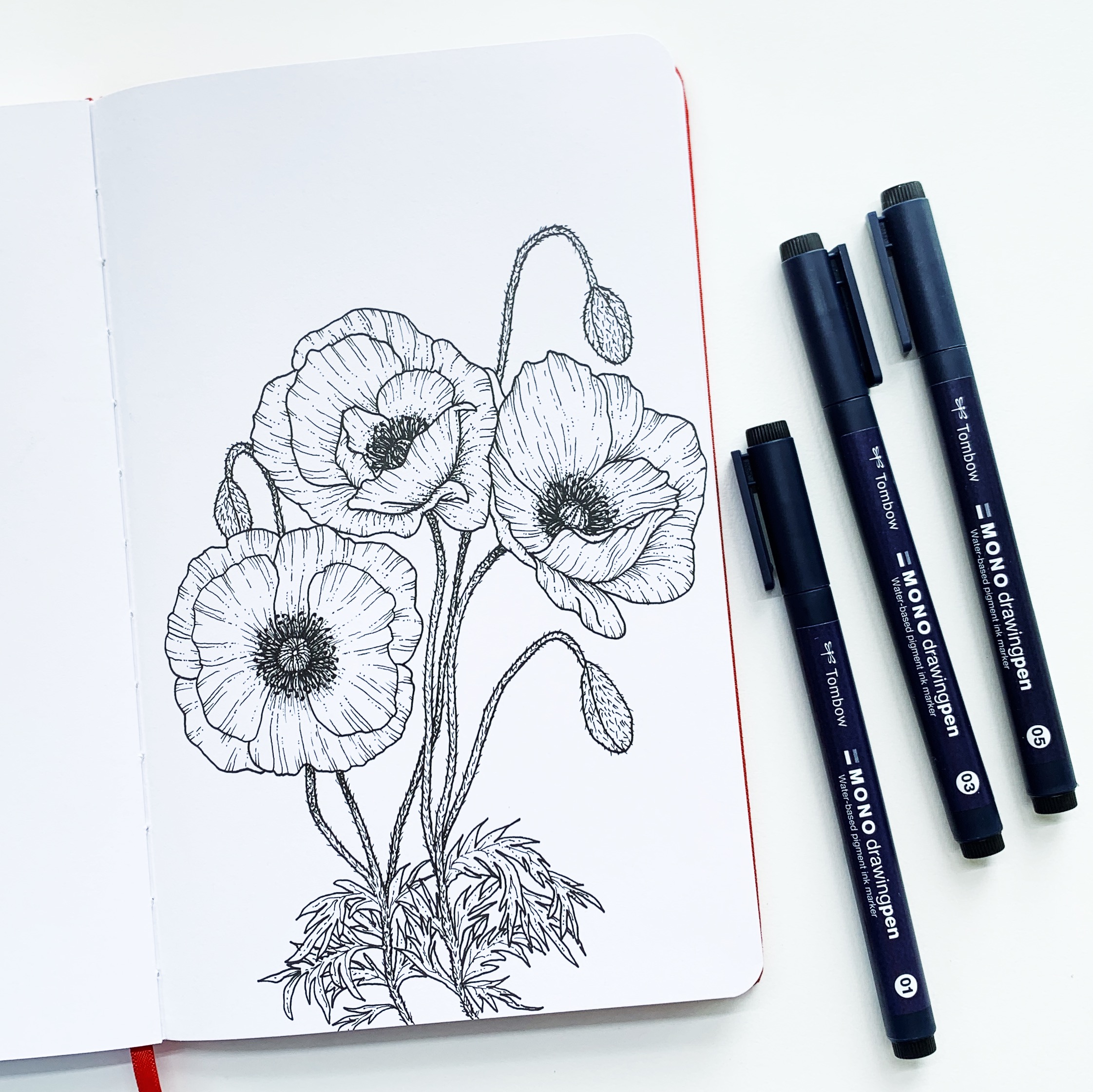 how to draw a poppy flower step by step