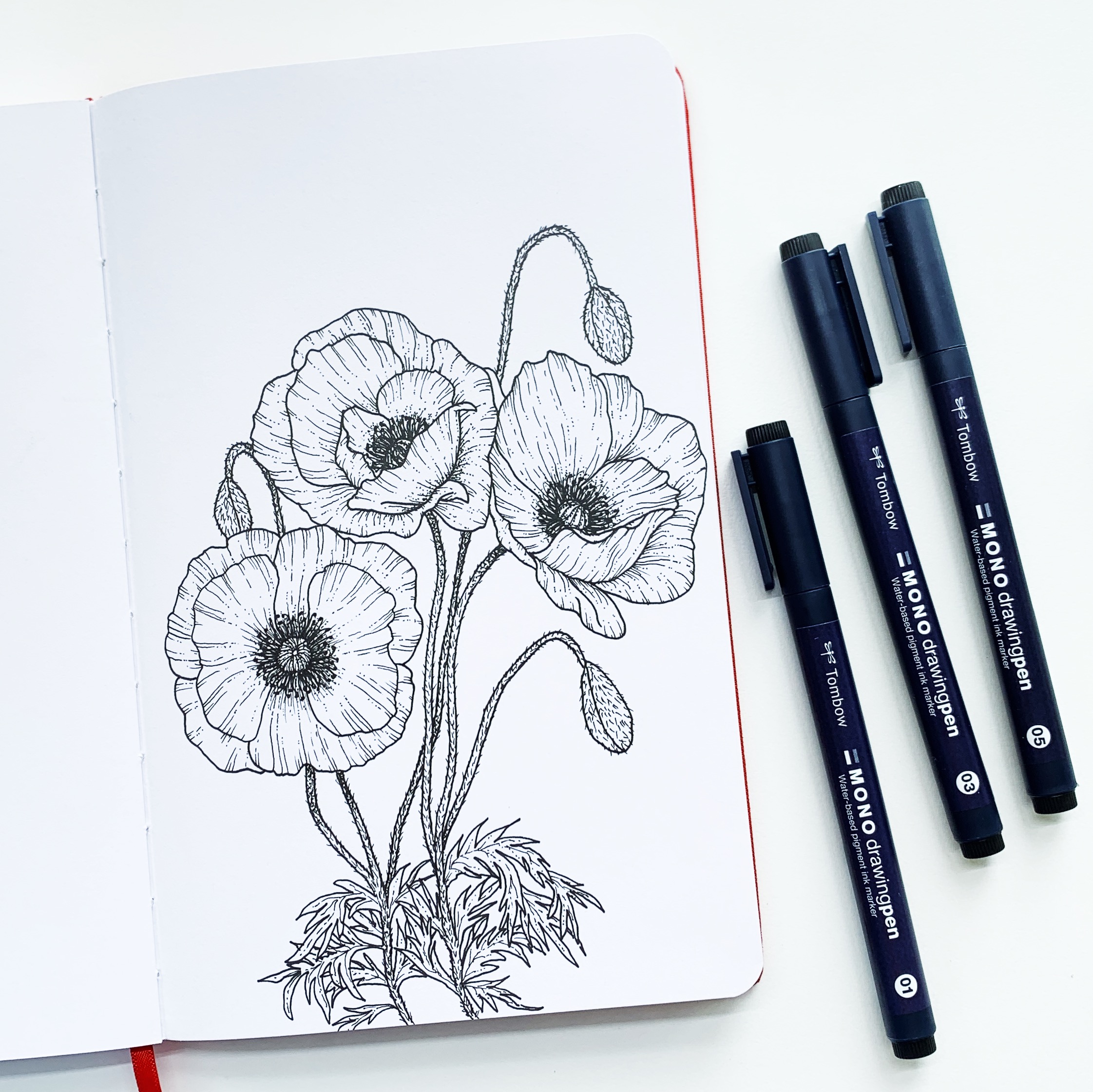 Learn how to draw poppy flowers using Tombow MONO Drawing Pens with Adrienne from @studio80design!