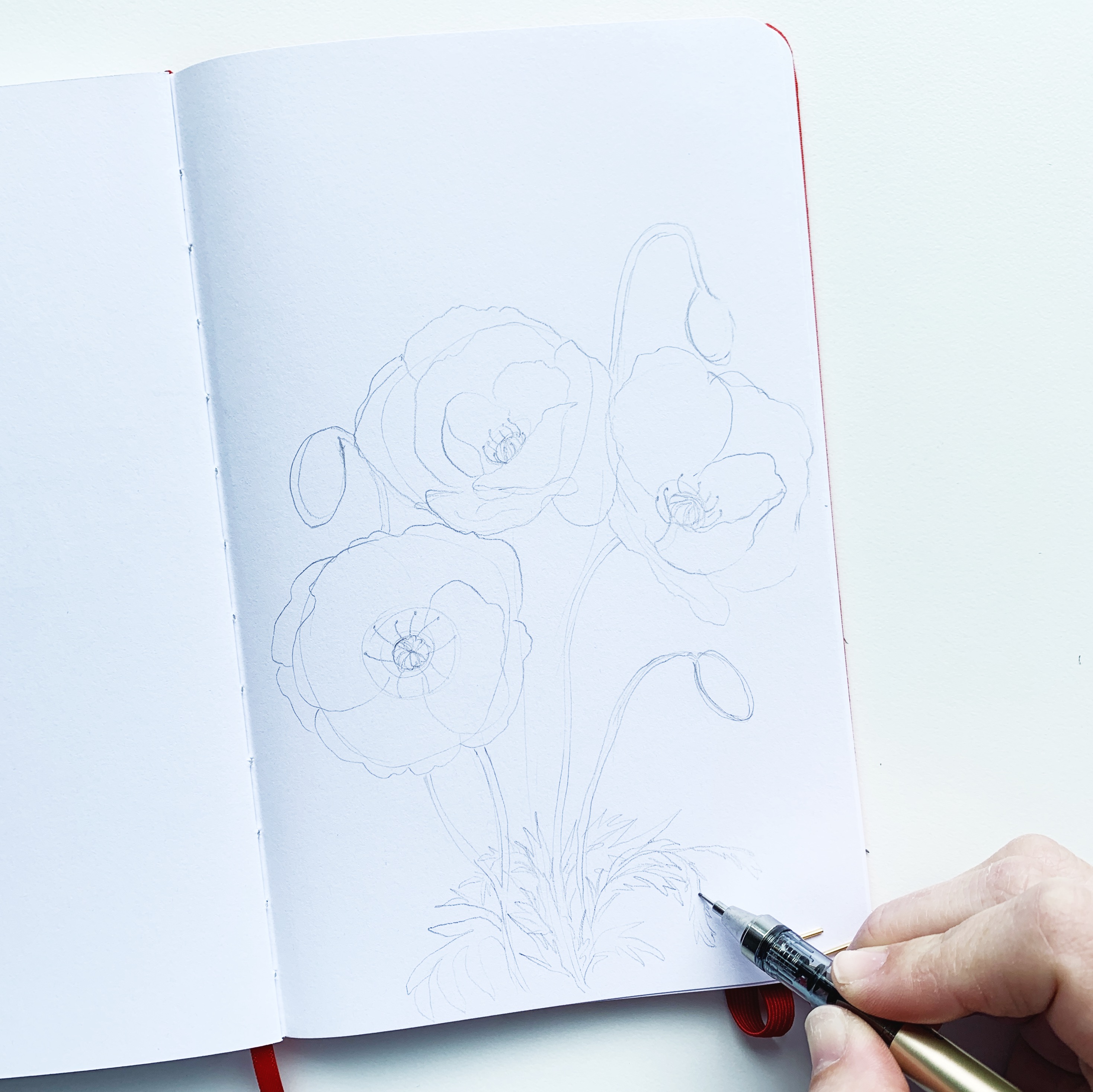 Learn how to draw poppy flowers using Tombow MONO Drawing Pens with Adrienne from @studio80design!