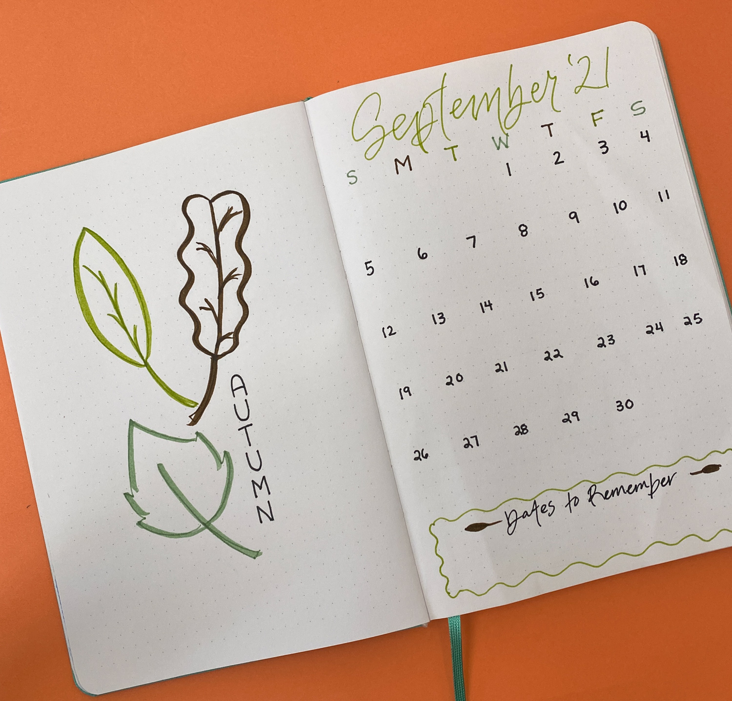 How to Doodle: 6 Plants to Draw! - Tombow USA Blog