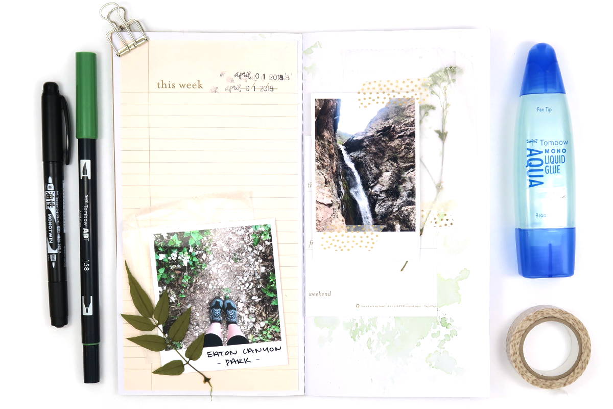 How to Create a Travelers Notebook Nature Journal with @tombowusa @popfizzpaper #pfplovestombow