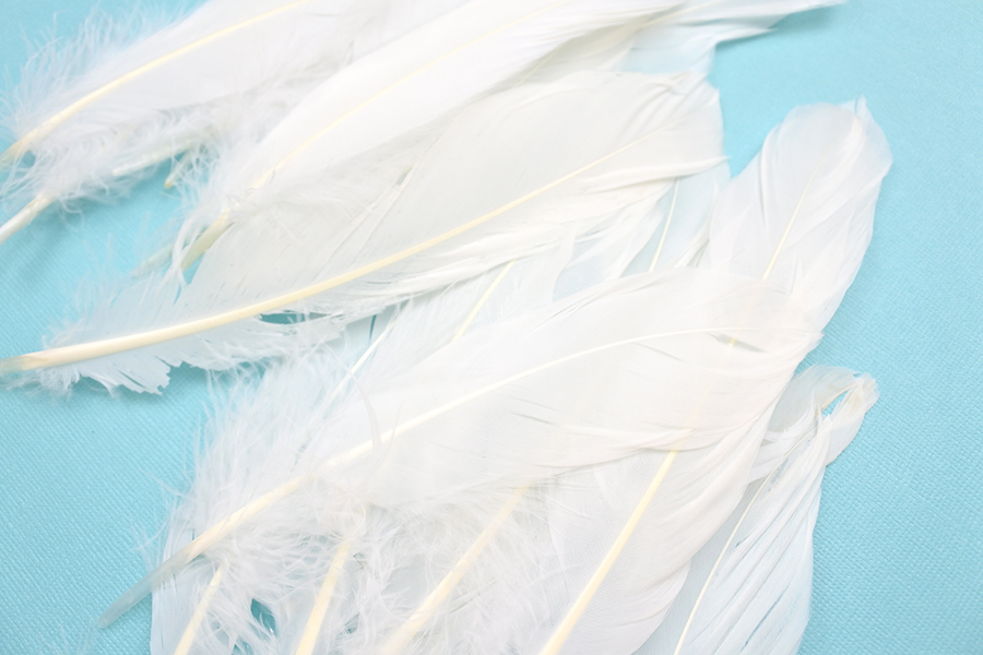 Create this DIY Glitter Feather Wall Art by @thediyday for @tombowusa