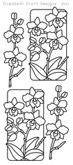 ECD-2542--Flowers-in-Frame-3--2_medium
