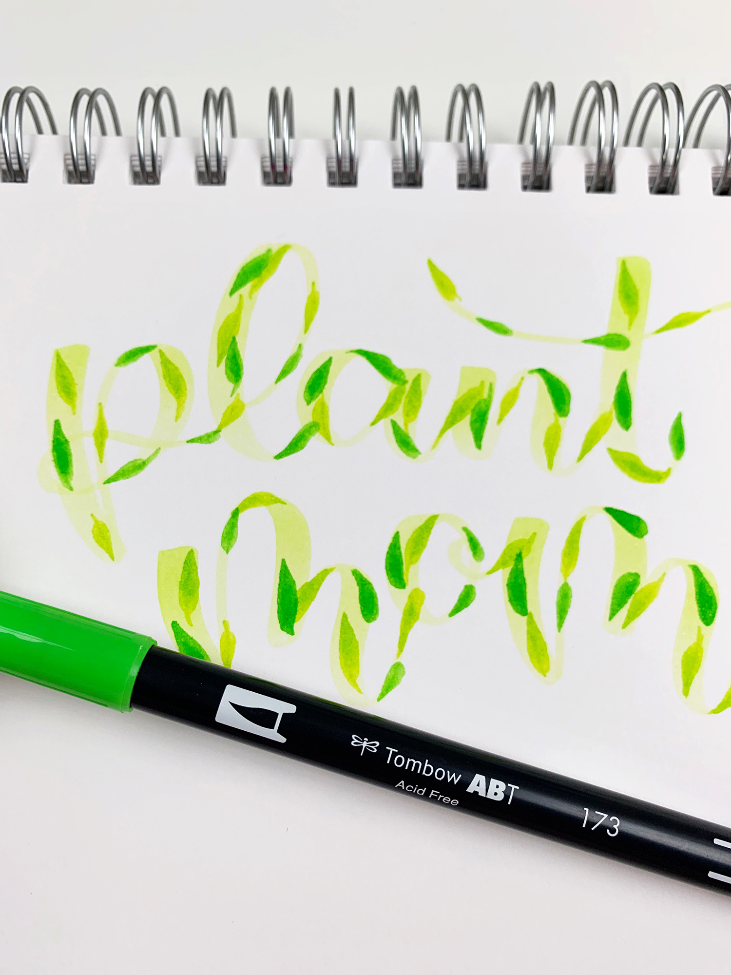 http://blog.tombowusa.com/wp-content/uploads/files/Easy-Plant-Mom-Lettering-with-Tombow-Dual-Brush-Pens-Jennie-Garcia-3.jpg