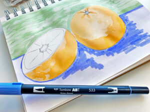 After the blue wash is dry, use the Tombow Dual Brush Pen to scribble a shadow under the oranges. Use a Tombow Water Brush to blend it.  #tombow #watercoloring
