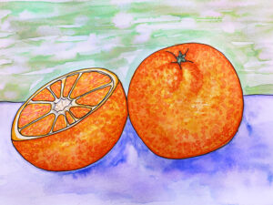 Use the Tombow Dual Brush Pens to watercolor a simple still life. Learn about layers, texture and blending by water coloring an orange. #rombow #watercoloring