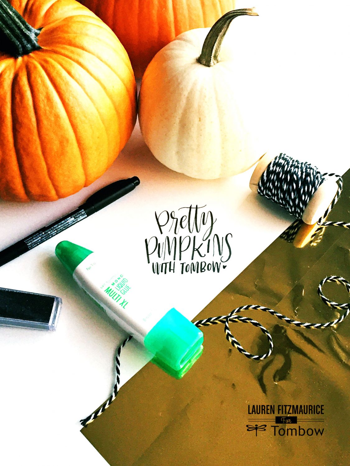 pretty pumpkins with tombow