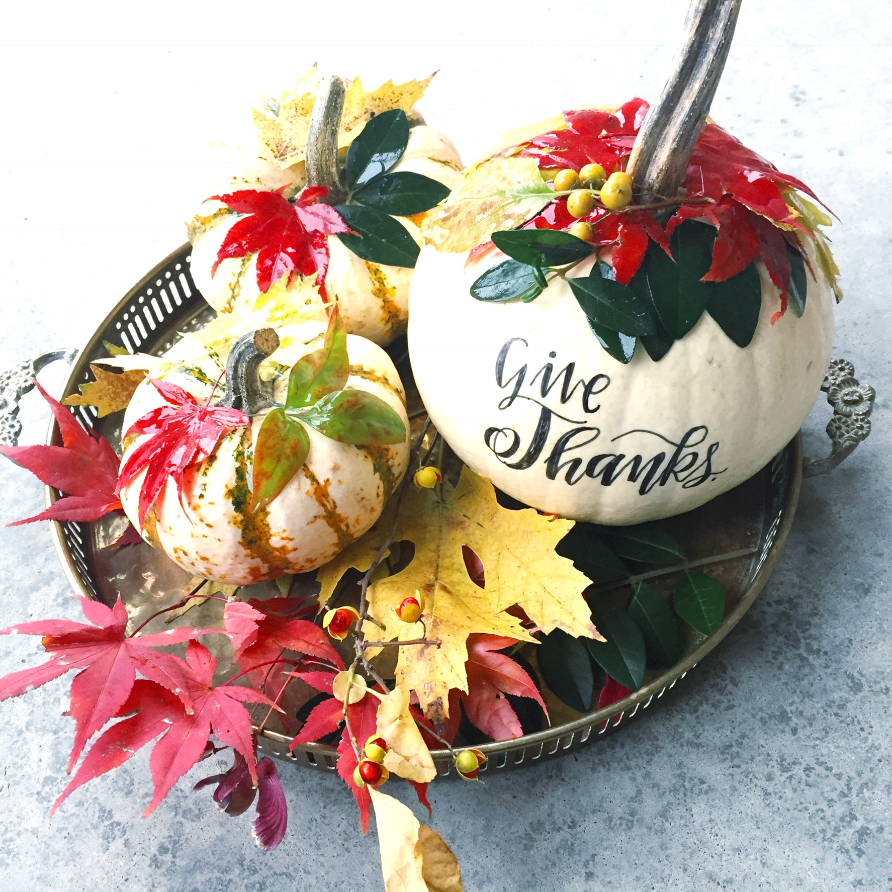 Lauren Fitzmaurice of Renmade Calligraphy takes you step by step through a tutorial of how to create a botanical pumpkin centerpiece, perfect for decorating the table of a thanksgiving or fall themed get together. Lauren uses Tombow USA products to create this centerpiece with live pumpkins and gourds and fallen leaves and berries.