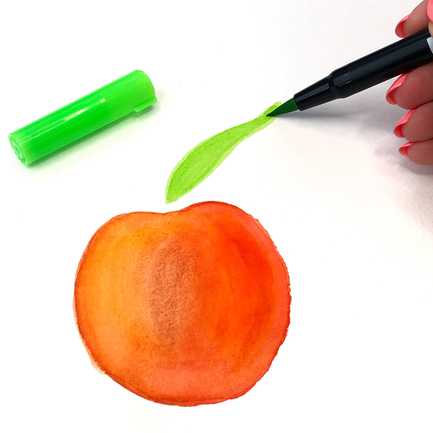 Create a Watercolor Peach with Jessica Mack on behalf of Tombow
